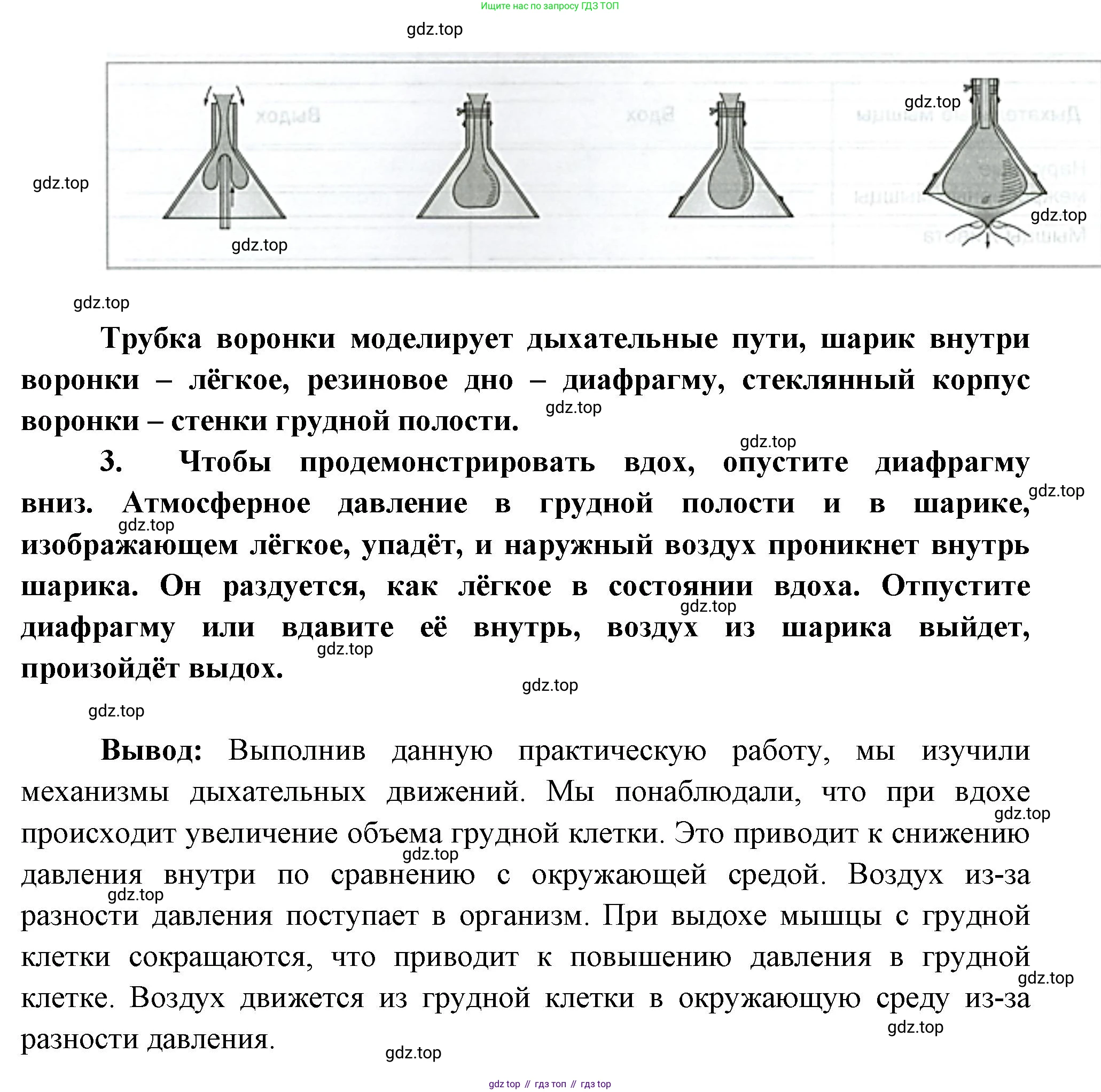 Биология, 9 класс рабочая тетрадь, авторы: Драгомилов Александр Григорьевич, Маш Реми Давидович, издательство Просвещение, Москва, 2021, красного цвета, Часть 2, страница 8, Решение (продолжение 2)