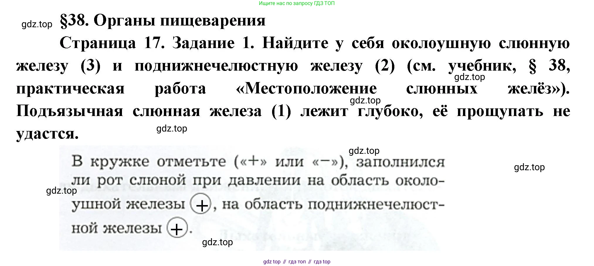 Биология, 9 класс рабочая тетрадь, авторы: Драгомилов Александр Григорьевич, Маш Реми Давидович, издательство Просвещение, Москва, 2021, красного цвета, Часть 2, страница 17, Решение