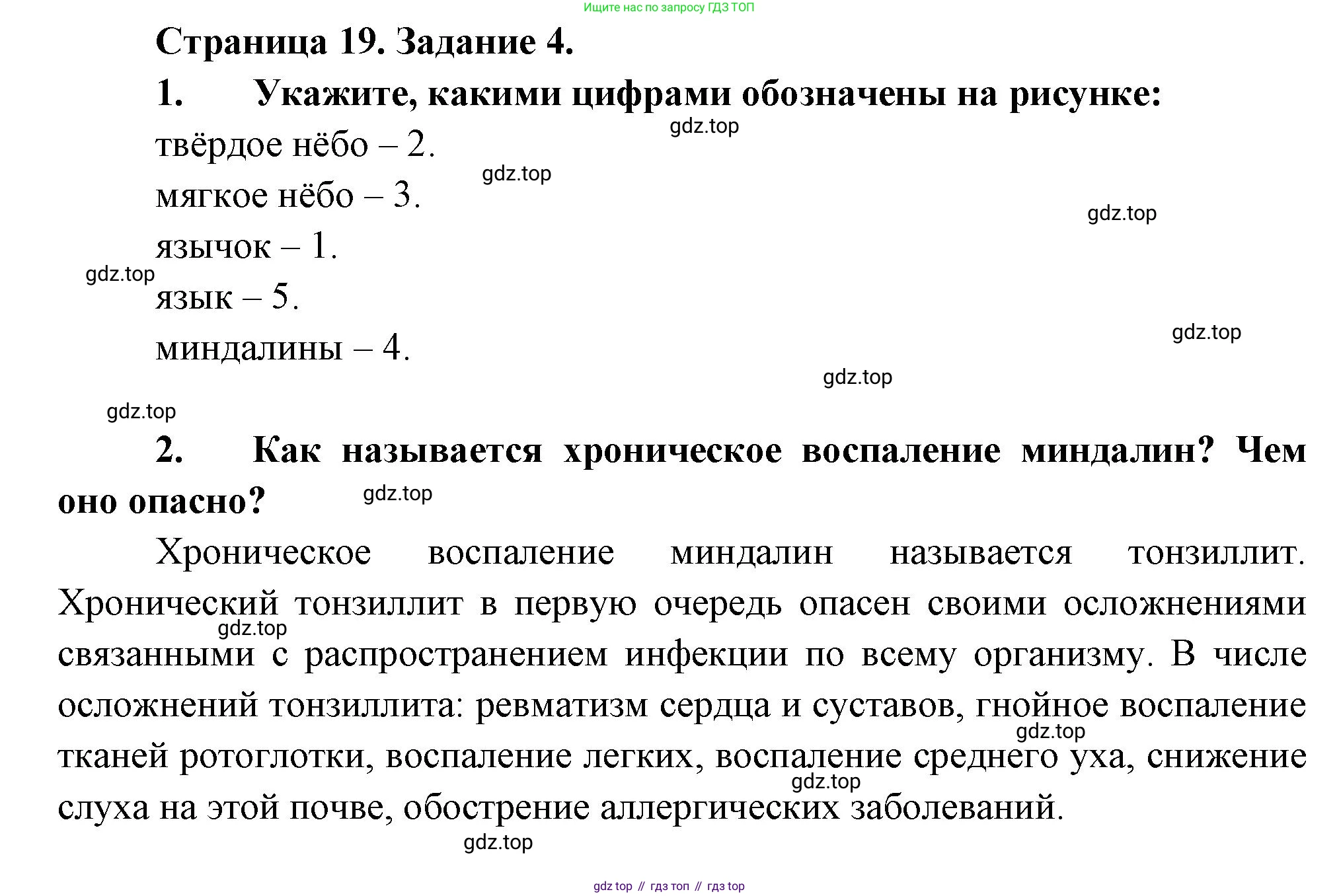 Биология, 9 класс рабочая тетрадь, авторы: Драгомилов Александр Григорьевич, Маш Реми Давидович, издательство Просвещение, Москва, 2021, красного цвета, Часть 2, страница 19, Решение