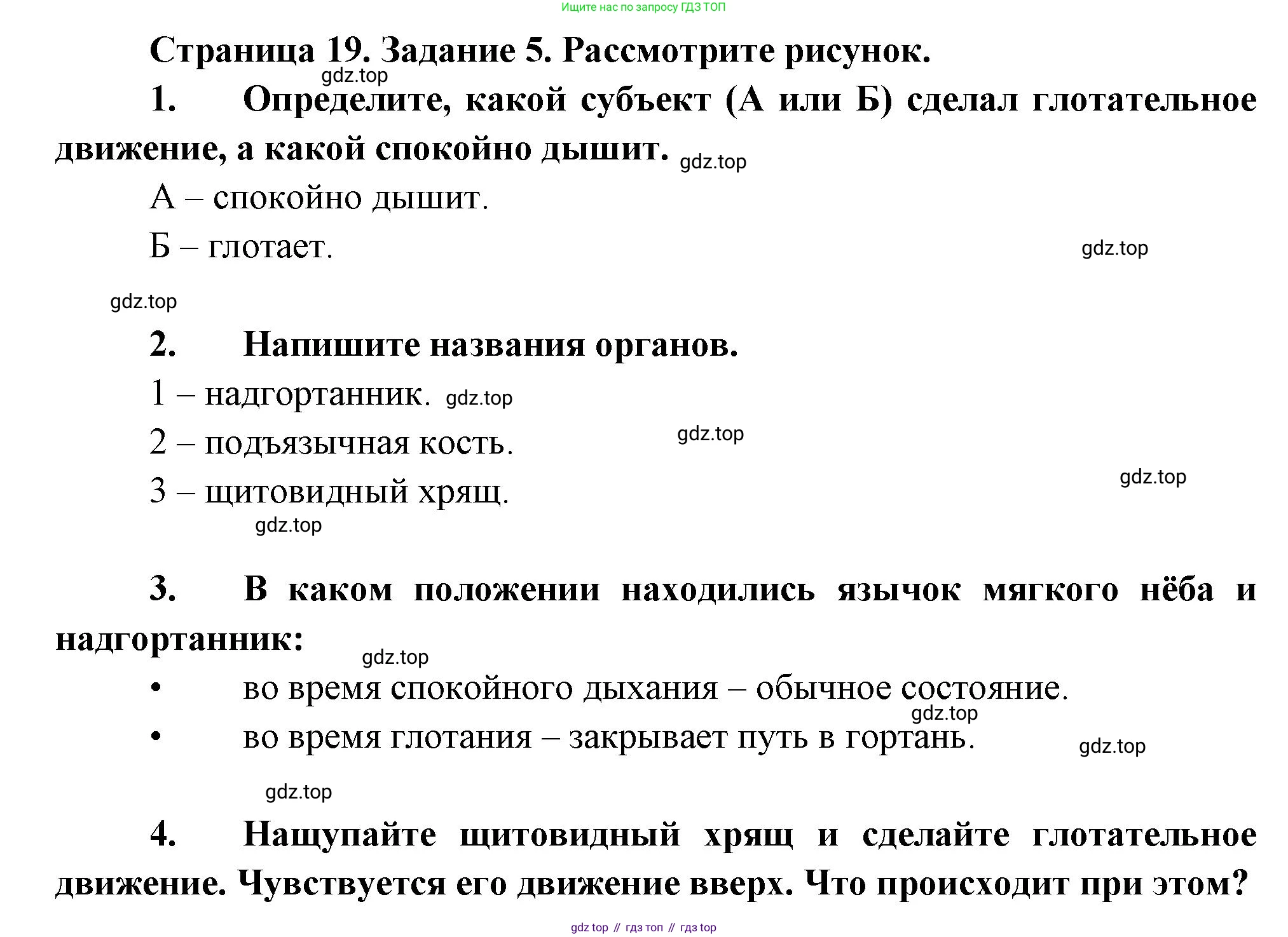 Биология, 9 класс рабочая тетрадь, авторы: Драгомилов Александр Григорьевич, Маш Реми Давидович, издательство Просвещение, Москва, 2021, красного цвета, Часть 2, страница 19, Решение