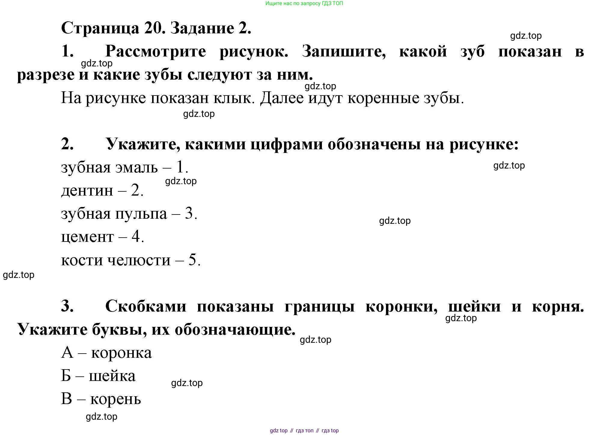 Биология, 9 класс рабочая тетрадь, авторы: Драгомилов Александр Григорьевич, Маш Реми Давидович, издательство Просвещение, Москва, 2021, красного цвета, Часть 2, страница 20, Решение