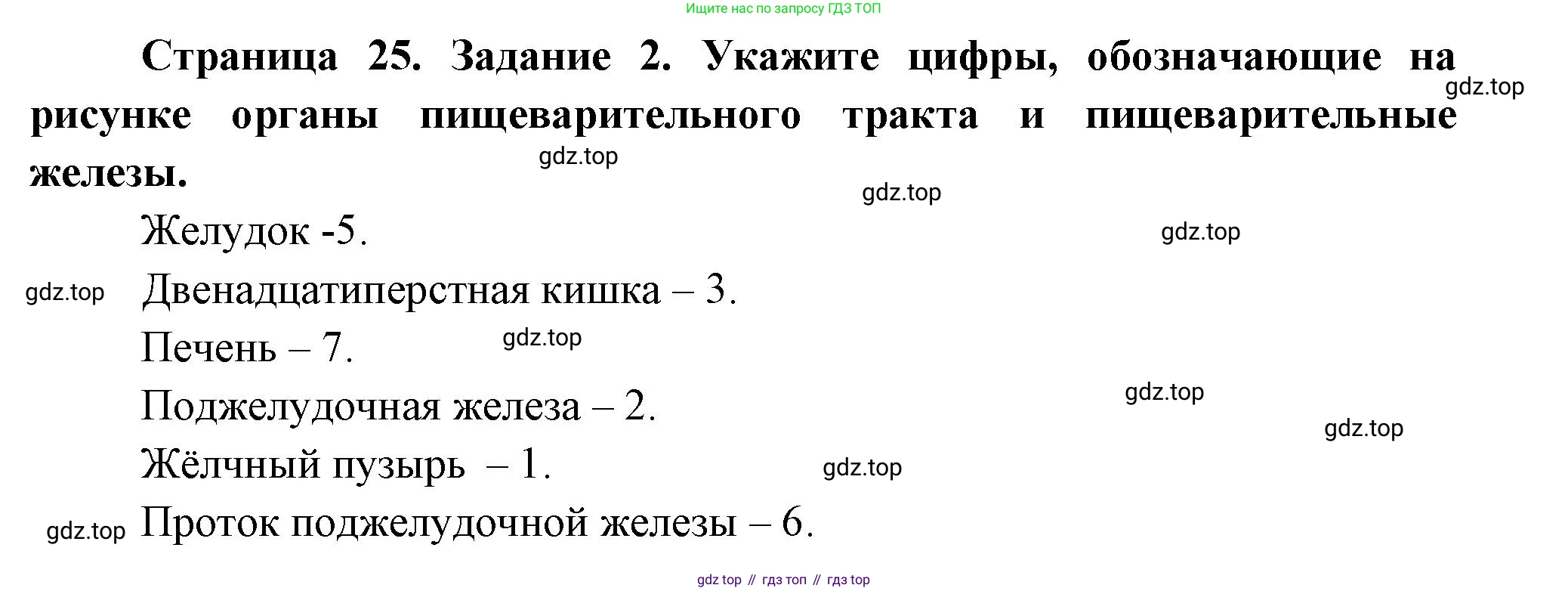Биология, 9 класс рабочая тетрадь, авторы: Драгомилов Александр Григорьевич, Маш Реми Давидович, издательство Просвещение, Москва, 2021, красного цвета, Часть 2, страница 25, Решение