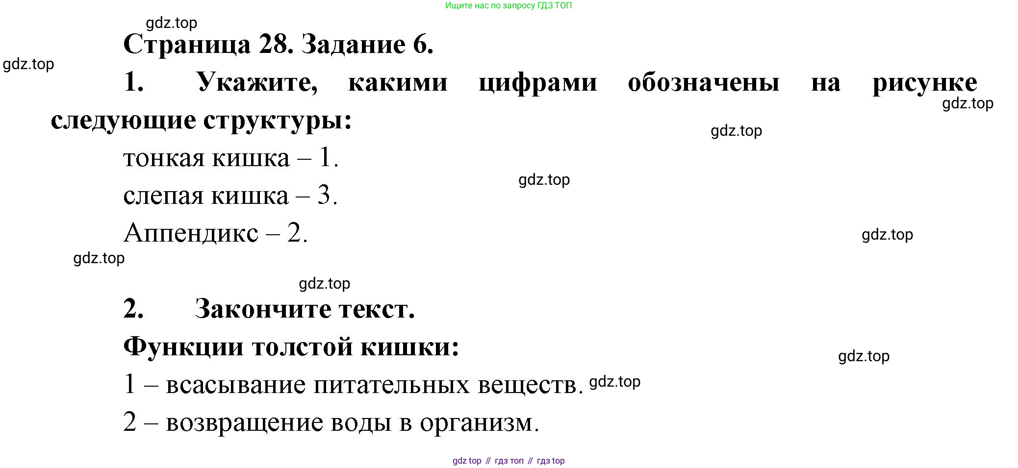 Биология, 9 класс рабочая тетрадь, авторы: Драгомилов Александр Григорьевич, Маш Реми Давидович, издательство Просвещение, Москва, 2021, красного цвета, Часть 2, страница 28, Решение