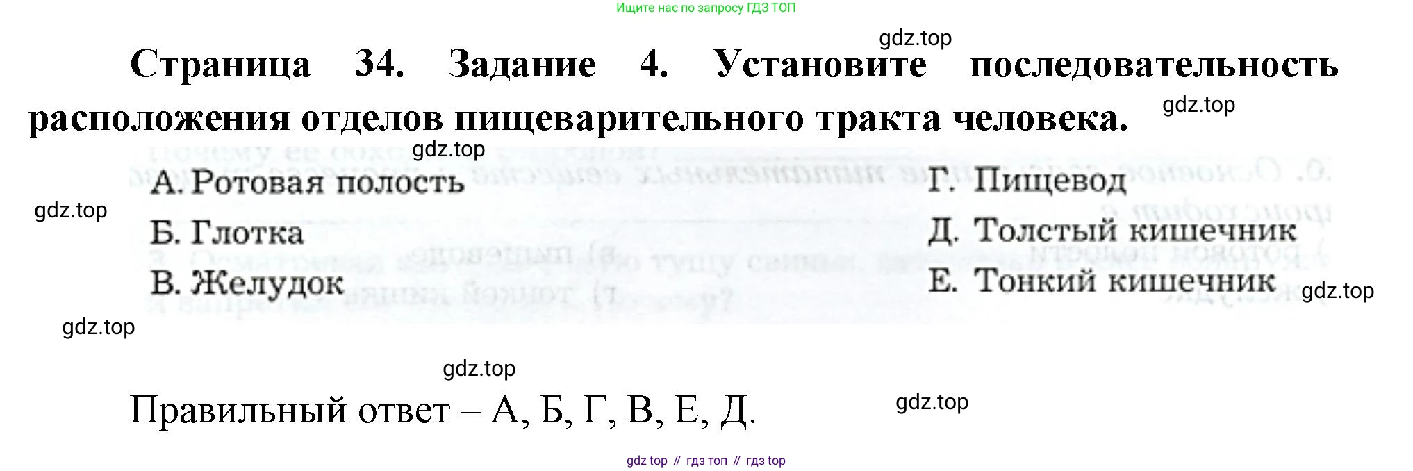 Биология, 9 класс рабочая тетрадь, авторы: Драгомилов Александр Григорьевич, Маш Реми Давидович, издательство Просвещение, Москва, 2021, красного цвета, Часть 2, страница 34, Решение