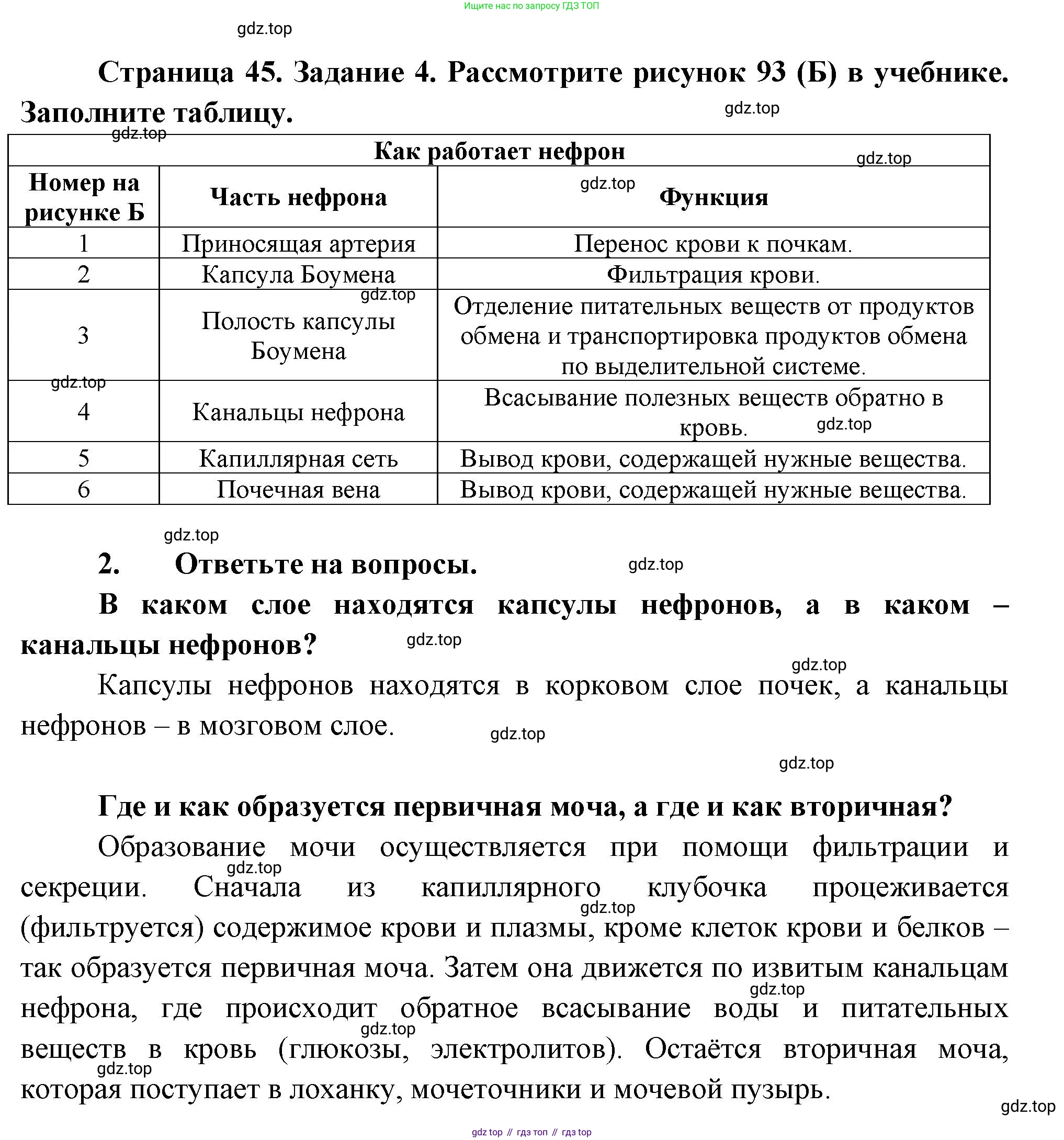 Биология, 9 класс рабочая тетрадь, авторы: Драгомилов Александр Григорьевич, Маш Реми Давидович, издательство Просвещение, Москва, 2021, красного цвета, Часть 2, страница 45, Решение