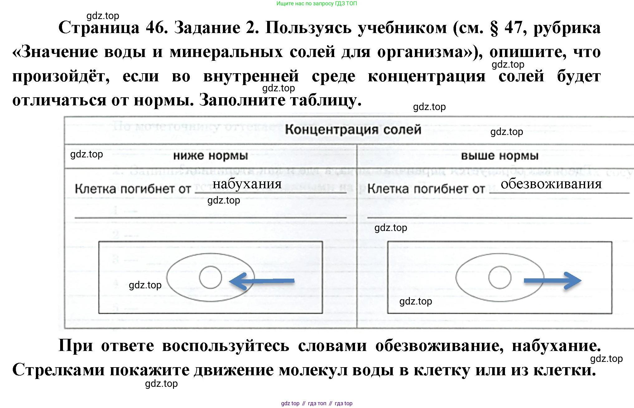 Биология, 9 класс рабочая тетрадь, авторы: Драгомилов Александр Григорьевич, Маш Реми Давидович, издательство Просвещение, Москва, 2021, красного цвета, Часть 2, страница 46, Решение