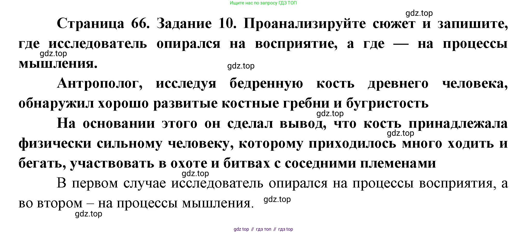Биология, 9 класс рабочая тетрадь, авторы: Драгомилов Александр Григорьевич, Маш Реми Давидович, издательство Просвещение, Москва, 2021, красного цвета, Часть 2, страница 66, Решение
