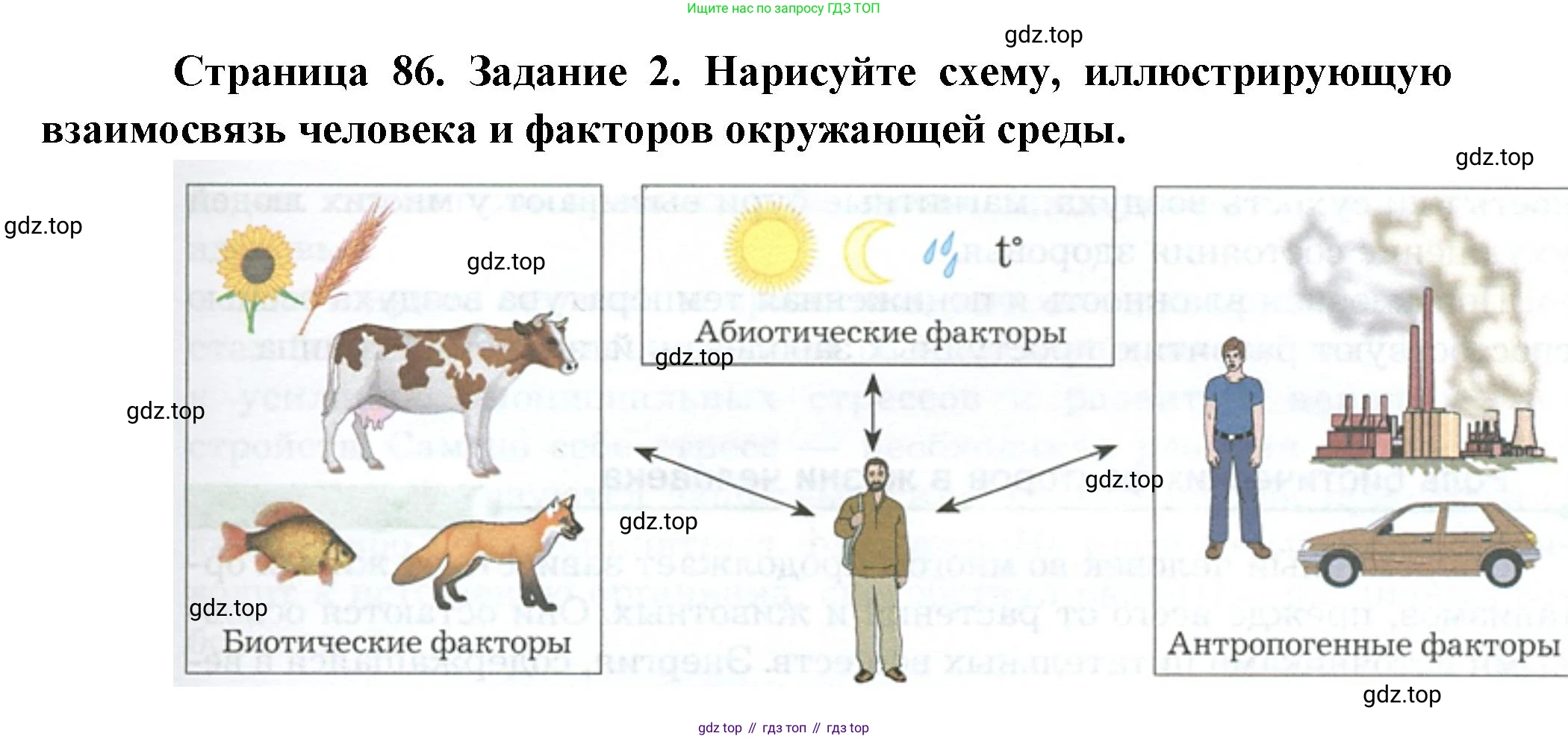 Биология, 9 класс рабочая тетрадь, авторы: Драгомилов Александр Григорьевич, Маш Реми Давидович, издательство Просвещение, Москва, 2021, красного цвета, Часть 2, страница 86, Решение