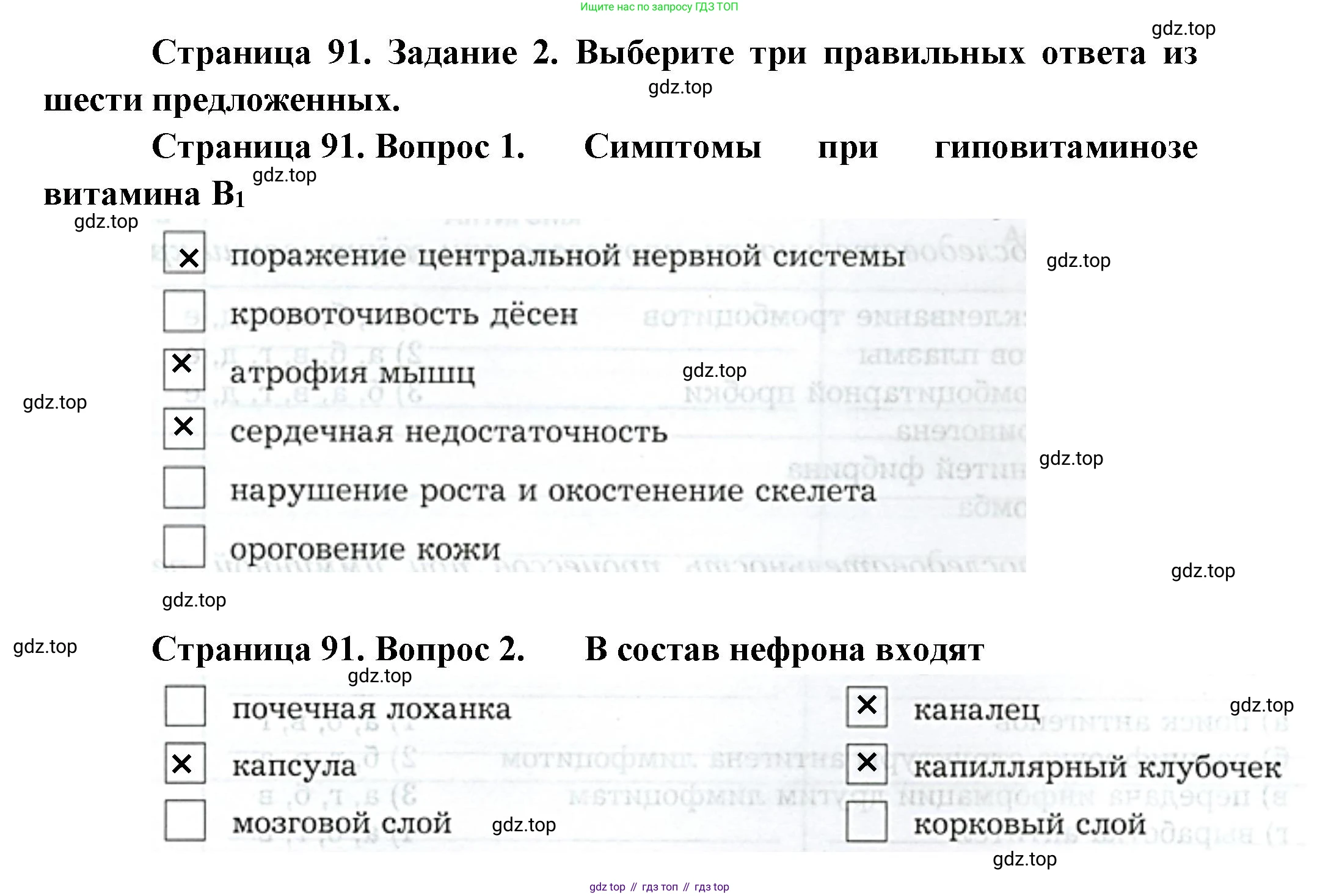 Биология, 9 класс рабочая тетрадь, авторы: Драгомилов Александр Григорьевич, Маш Реми Давидович, издательство Просвещение, Москва, 2021, красного цвета, Часть 2, страница 91, Решение