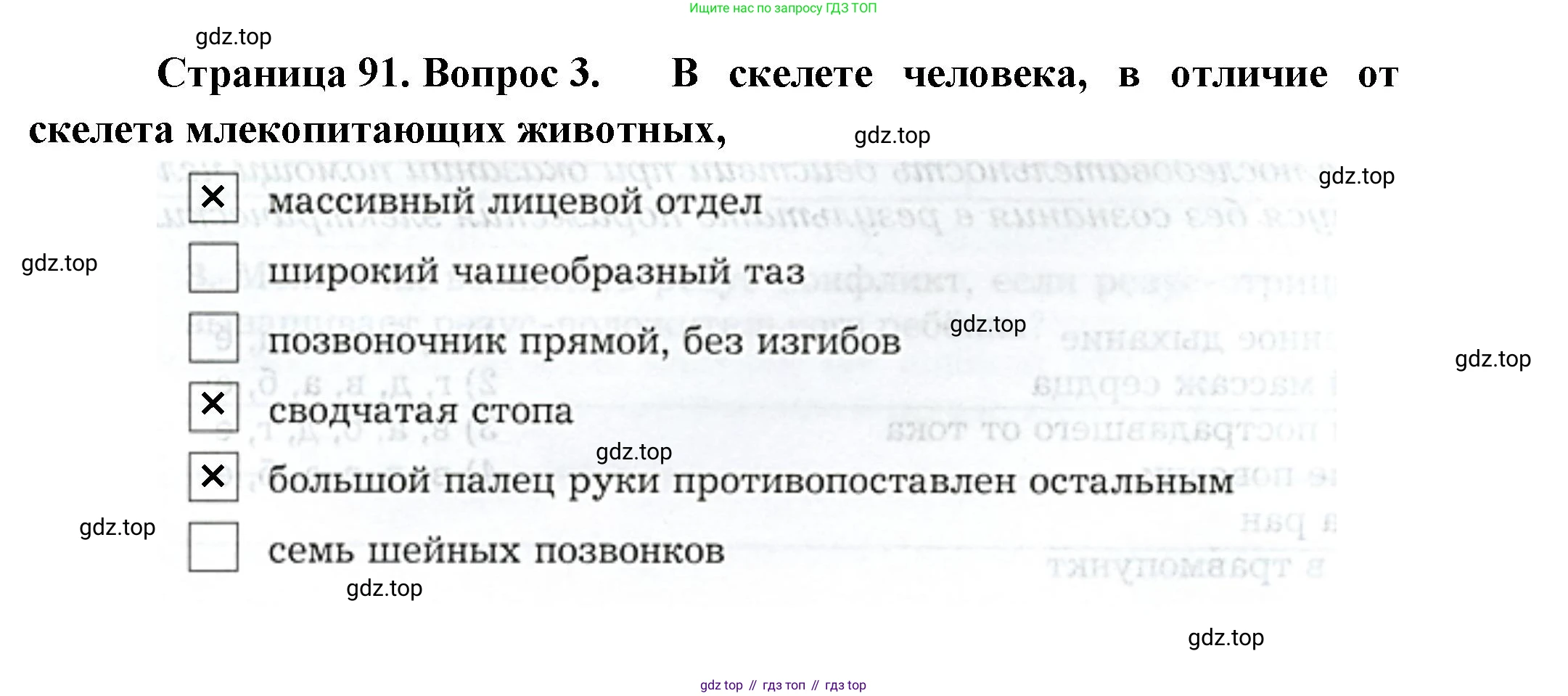 Биология, 9 класс рабочая тетрадь, авторы: Драгомилов Александр Григорьевич, Маш Реми Давидович, издательство Просвещение, Москва, 2021, красного цвета, Часть 2, страница 91, Решение (продолжение 2)