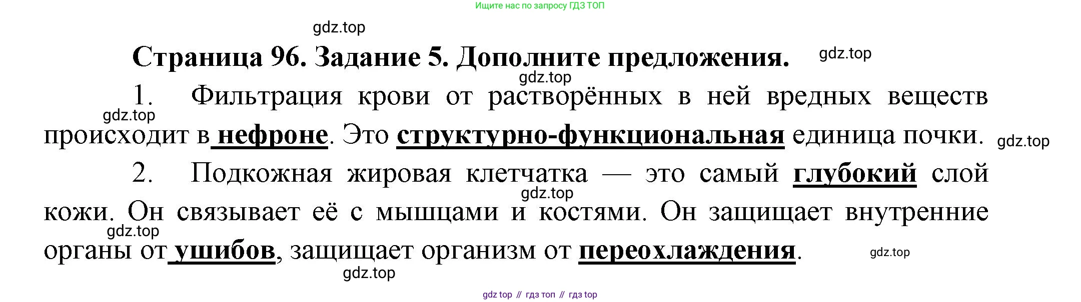 Биология, 9 класс рабочая тетрадь, авторы: Драгомилов Александр Григорьевич, Маш Реми Давидович, издательство Просвещение, Москва, 2021, красного цвета, Часть 2, страница 96, Решение
