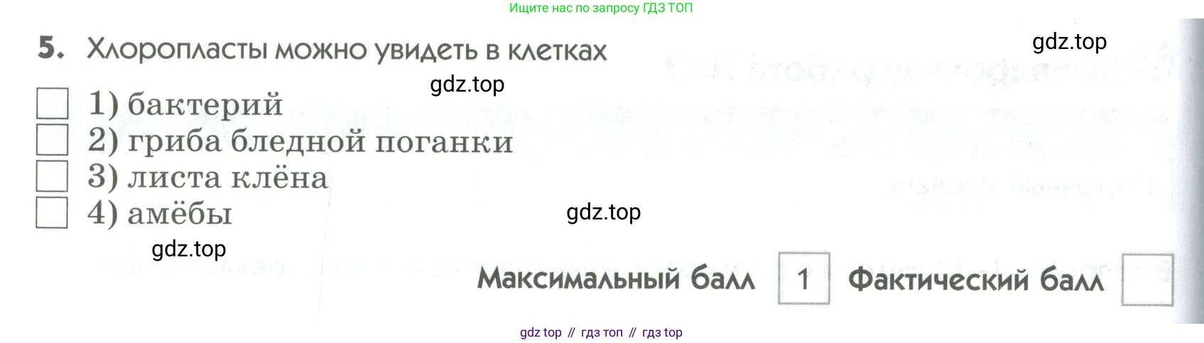 ГДЗ Биология, 9 класс Диагностические работы, авторы: Пасечник Владимир Васильевич, Швецов Глеб Геннадьевич, издательство Просвещение, Москва, 2021, зелёного цвета, страница 32, номер 5, Условие