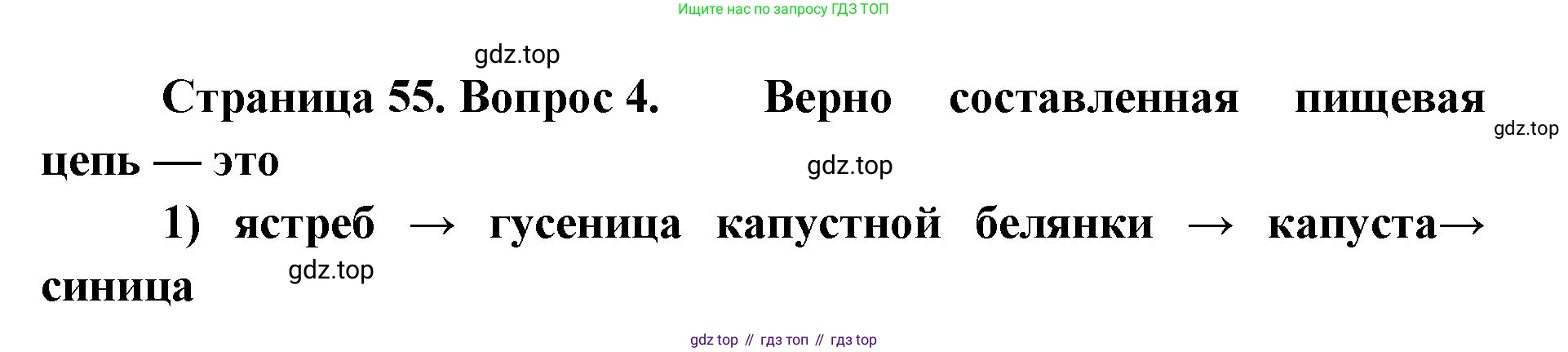 ГДЗ Биология, 9 класс Диагностические работы, авторы: Пасечник Владимир Васильевич, Швецов Глеб Геннадьевич, издательство Просвещение, Москва, 2021, зелёного цвета, страница 55, номер 4, Решение