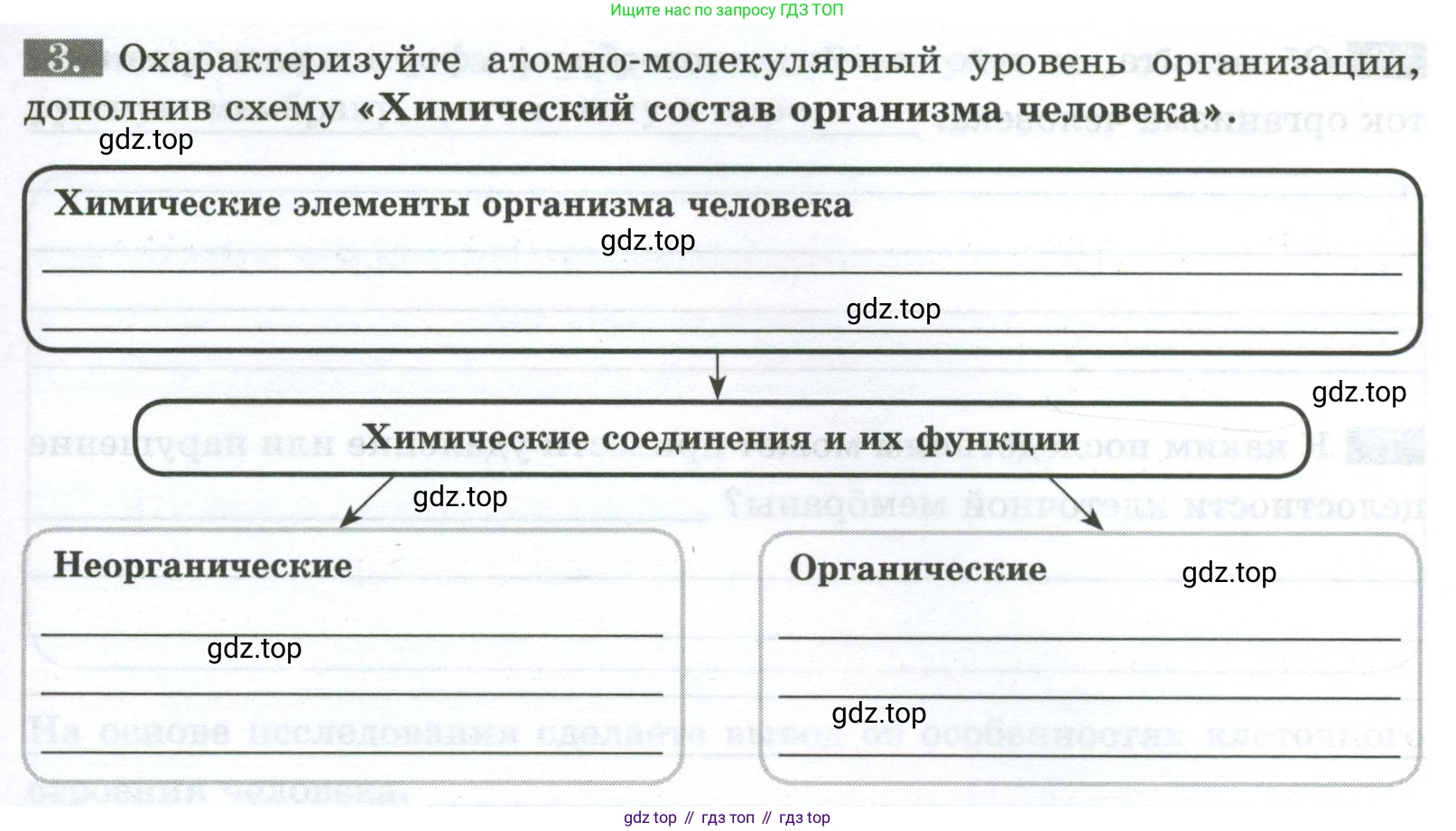 ГДЗ Биология, 9 класс рабочая тетрадь, авторы: Пасечник Владимир Васильевич, Швецов Глеб Геннадьевич, издательство Просвещение, Москва, 2023, розового цвета, страница 13, номер 3, Условие