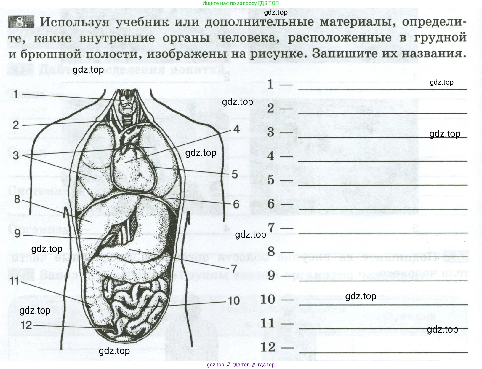 Биология, 9 класс рабочая тетрадь, авторы: Пасечник Владимир Васильевич, Швецов Глеб Геннадьевич, издательство Просвещение, Москва, 2023, розового цвета, страница 20, номер 8, Условие
