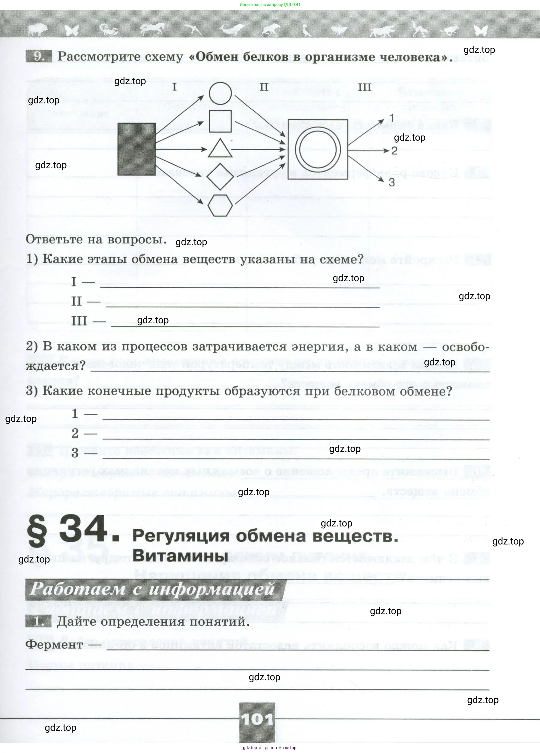 Биология, 9 класс рабочая тетрадь, авторы: Пасечник Владимир Васильевич, Швецов Глеб Геннадьевич, издательство Просвещение, Москва, 2023, розового цвета, страница 101
