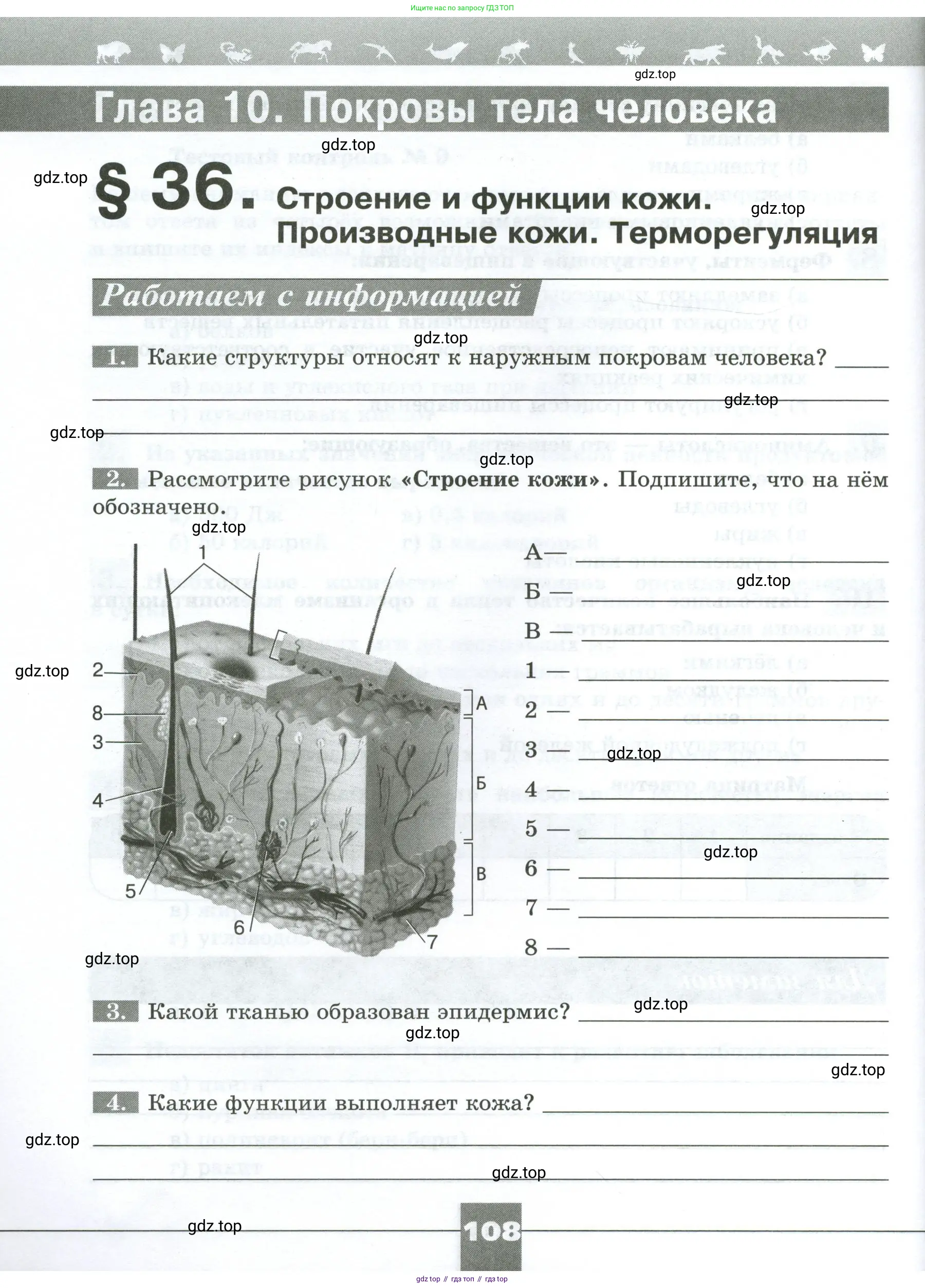 Биология, 9 класс рабочая тетрадь, авторы: Пасечник Владимир Васильевич, Швецов Глеб Геннадьевич, издательство Просвещение, Москва, 2023, розового цвета, страница 108
