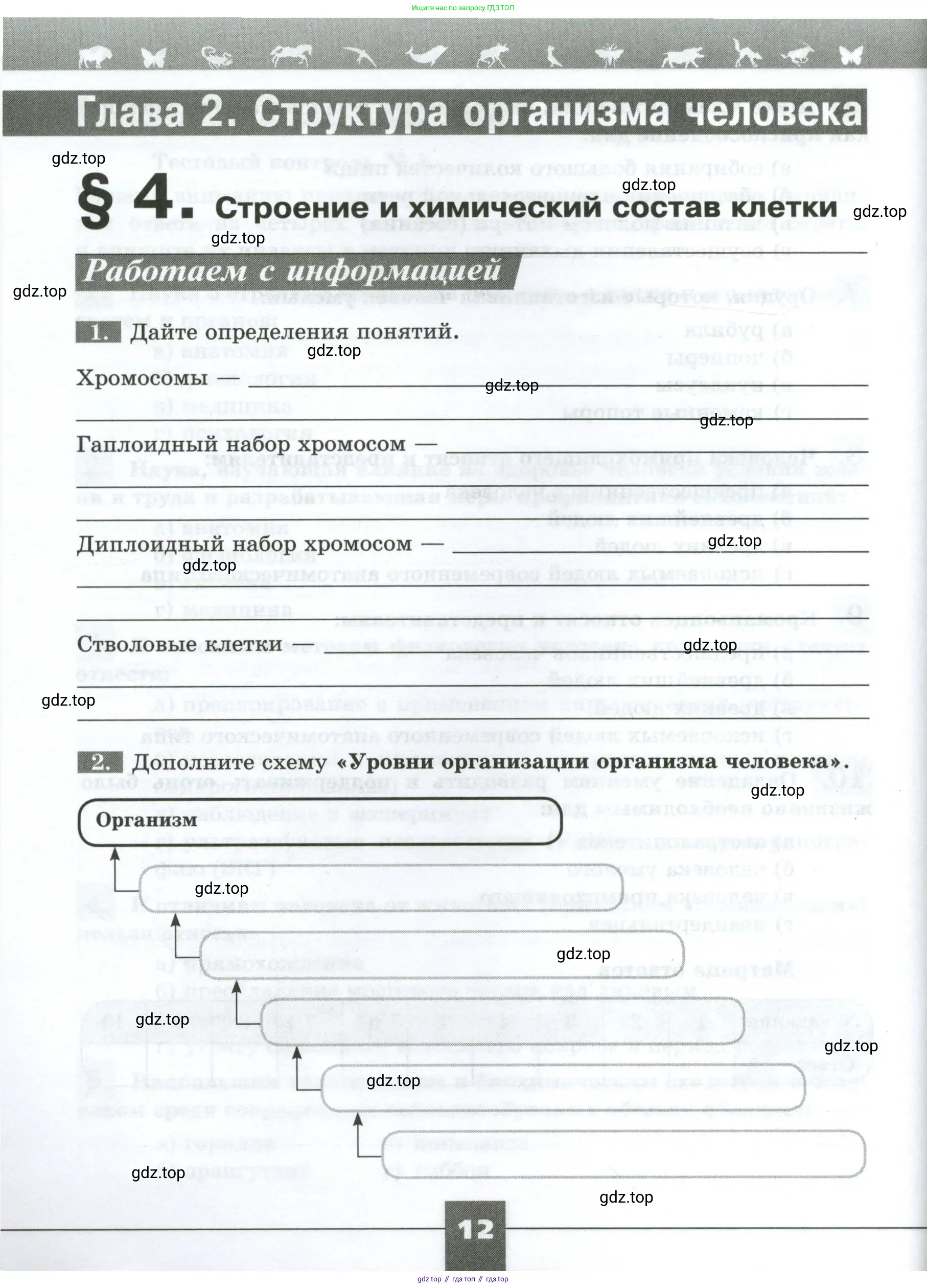 Биология, 9 класс рабочая тетрадь, авторы: Пасечник Владимир Васильевич, Швецов Глеб Геннадьевич, издательство Просвещение, Москва, 2023, розового цвета, страница 12