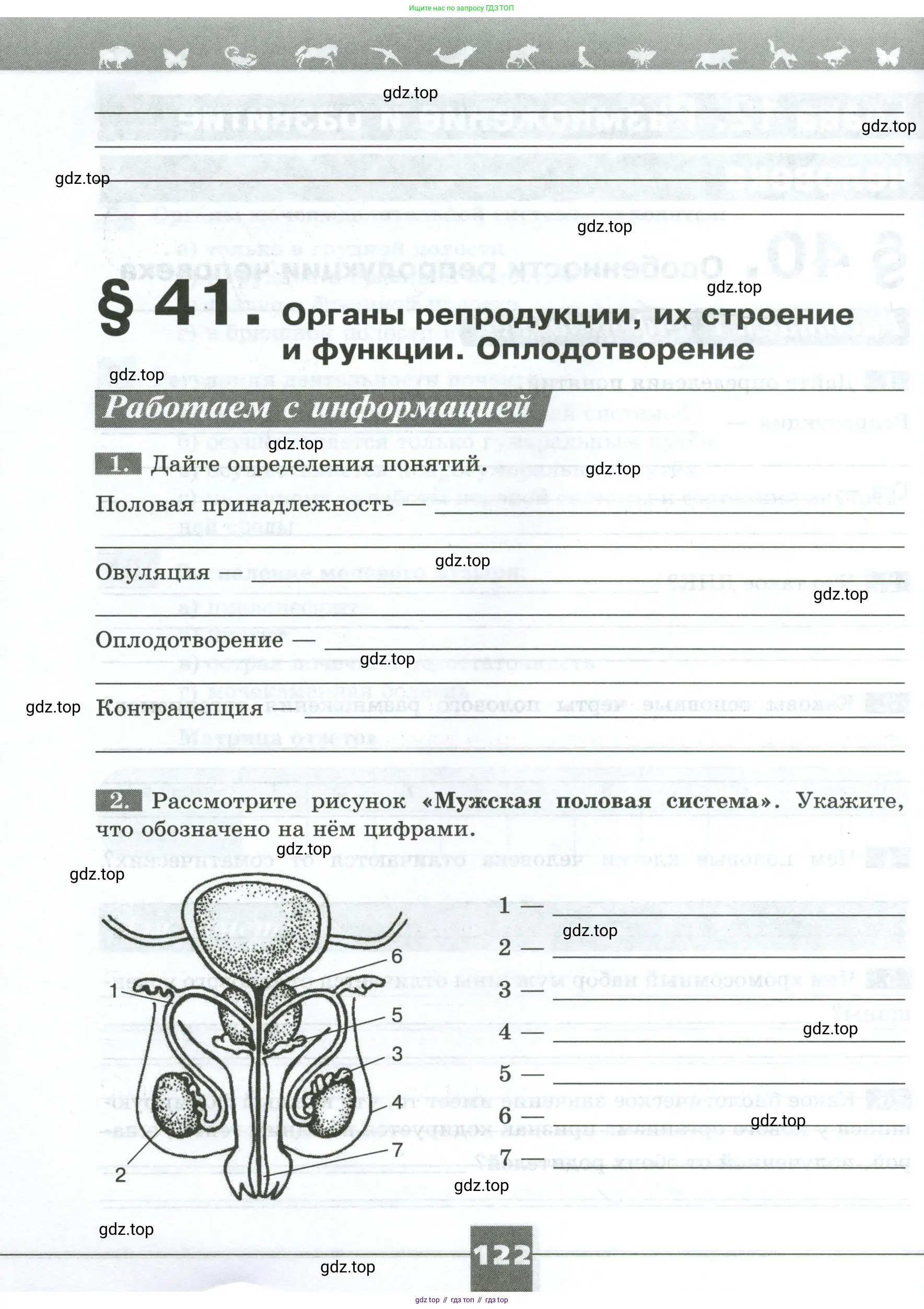 Биология, 9 класс рабочая тетрадь, авторы: Пасечник Владимир Васильевич, Швецов Глеб Геннадьевич, издательство Просвещение, Москва, 2023, розового цвета, страница 122