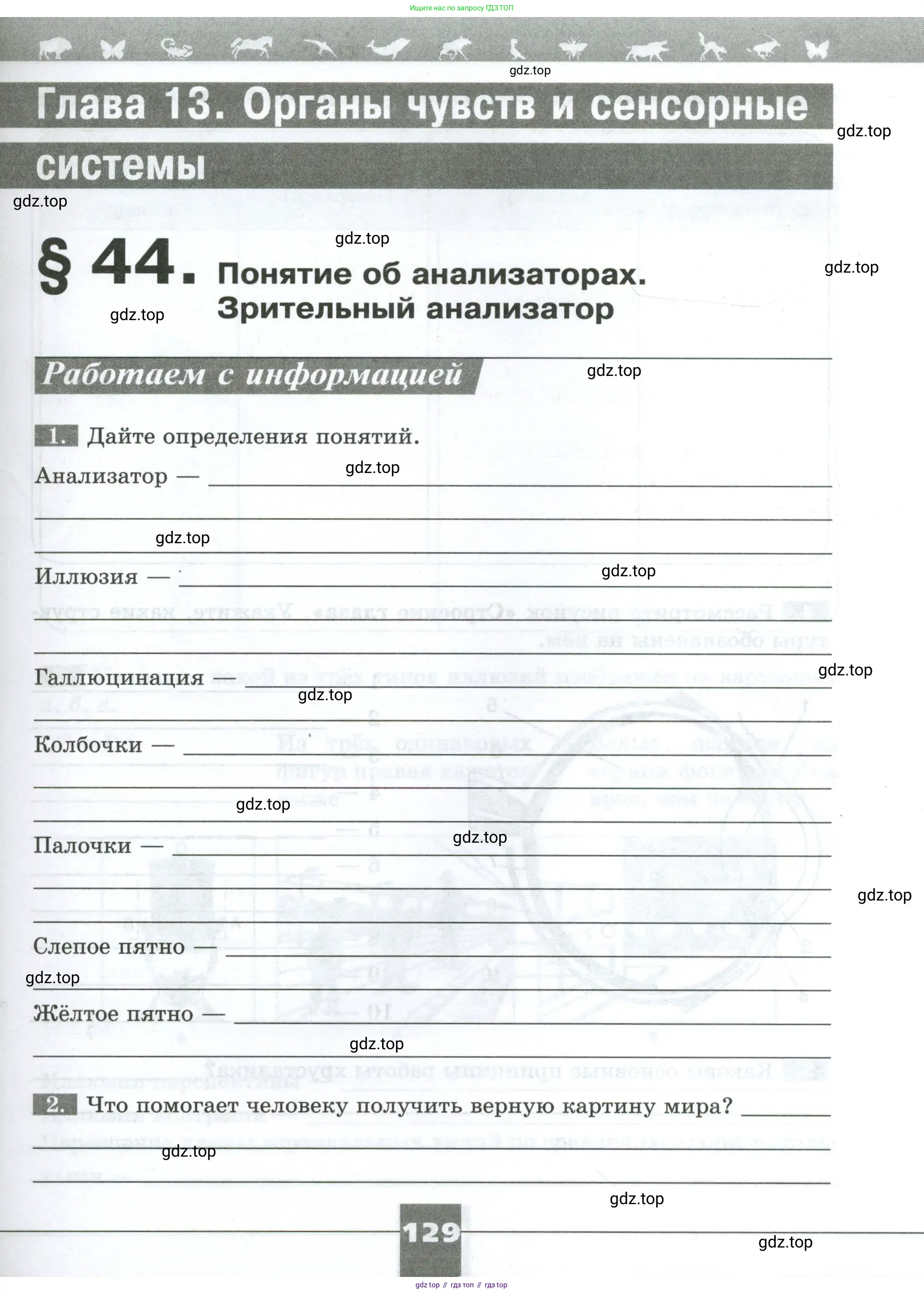 Биология, 9 класс рабочая тетрадь, авторы: Пасечник Владимир Васильевич, Швецов Глеб Геннадьевич, издательство Просвещение, Москва, 2023, розового цвета, страница 129