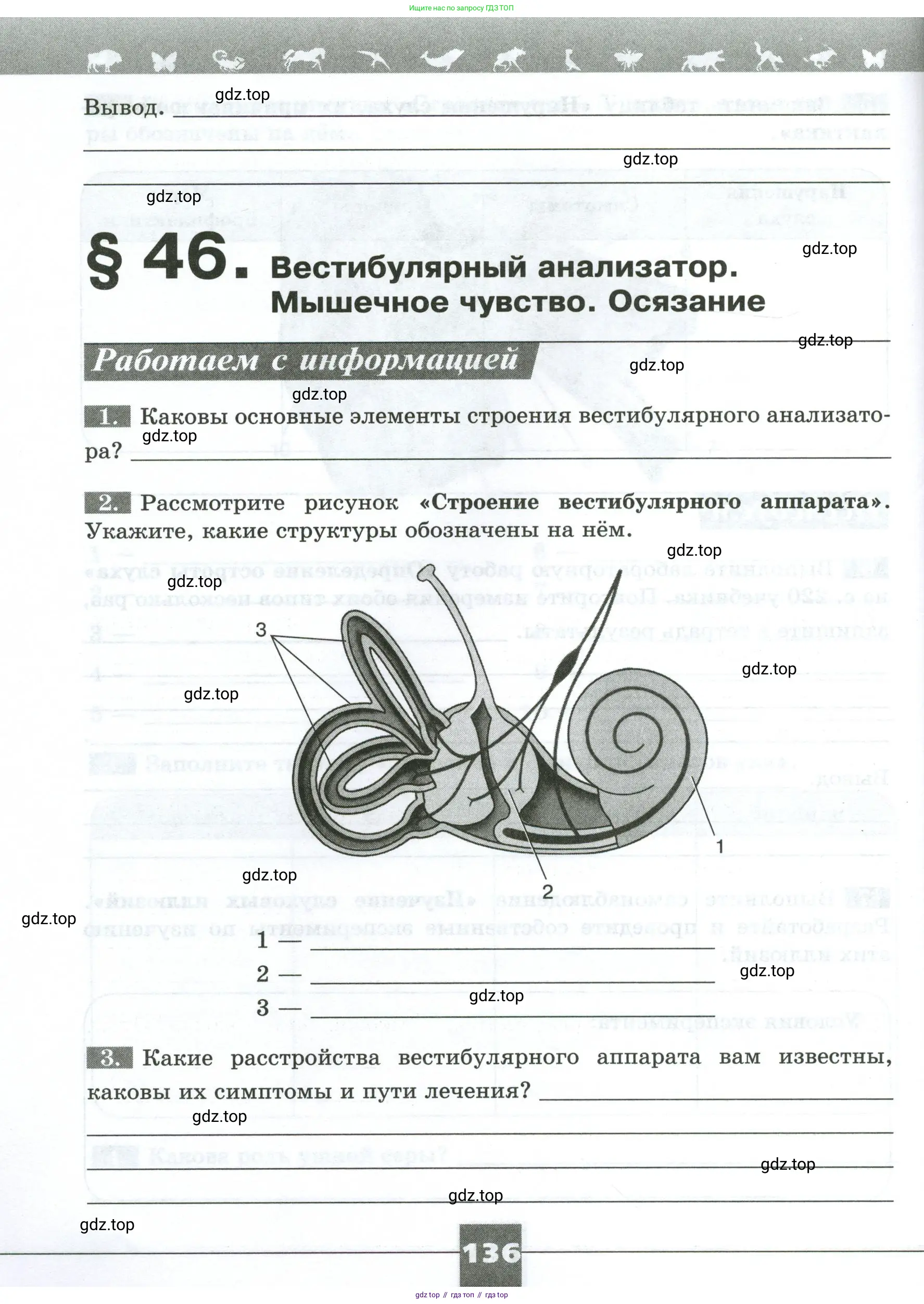 Биология, 9 класс рабочая тетрадь, авторы: Пасечник Владимир Васильевич, Швецов Глеб Геннадьевич, издательство Просвещение, Москва, 2023, розового цвета, страница 136