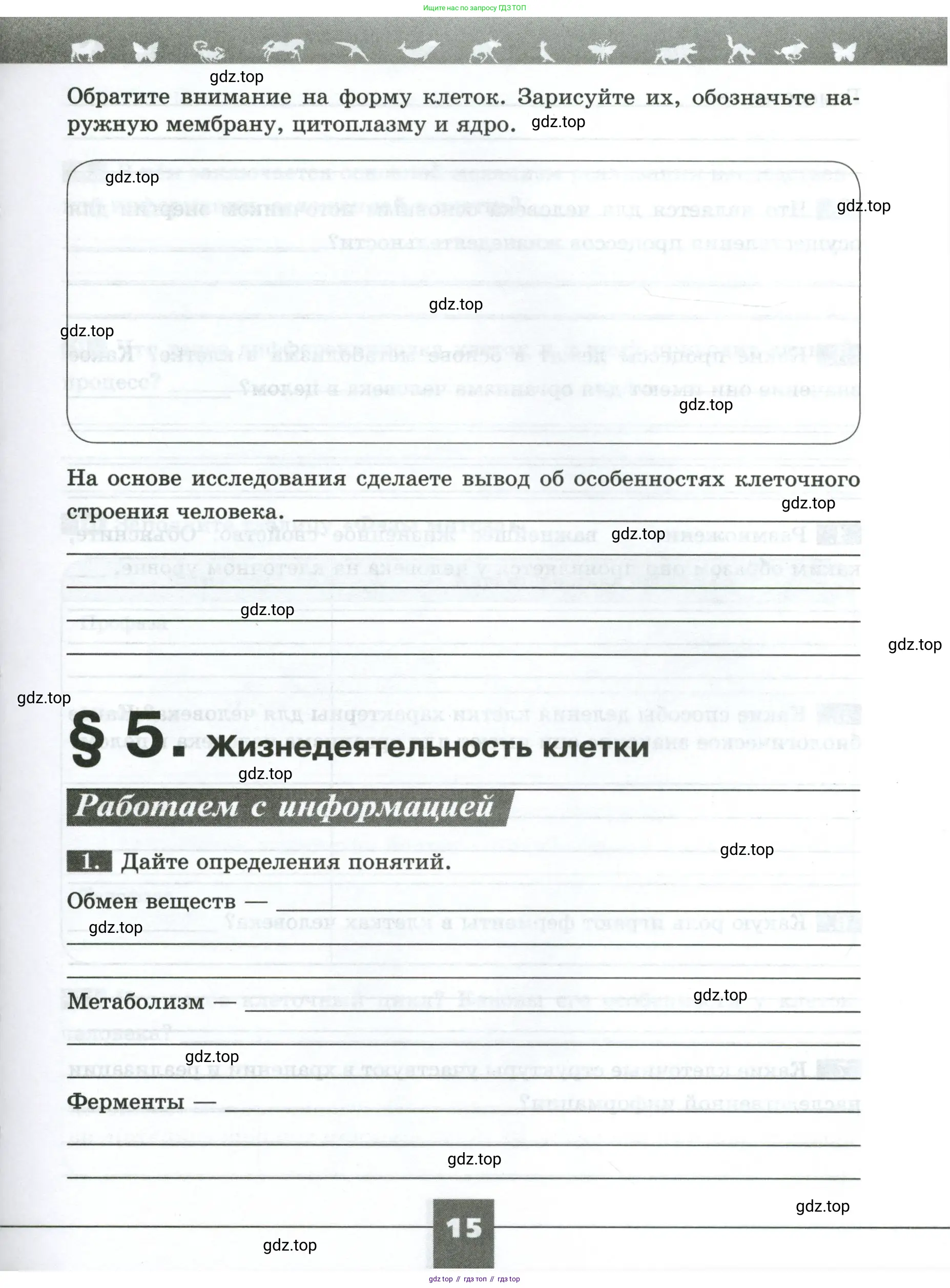 Биология, 9 класс рабочая тетрадь, авторы: Пасечник Владимир Васильевич, Швецов Глеб Геннадьевич, издательство Просвещение, Москва, 2023, розового цвета, страница 15