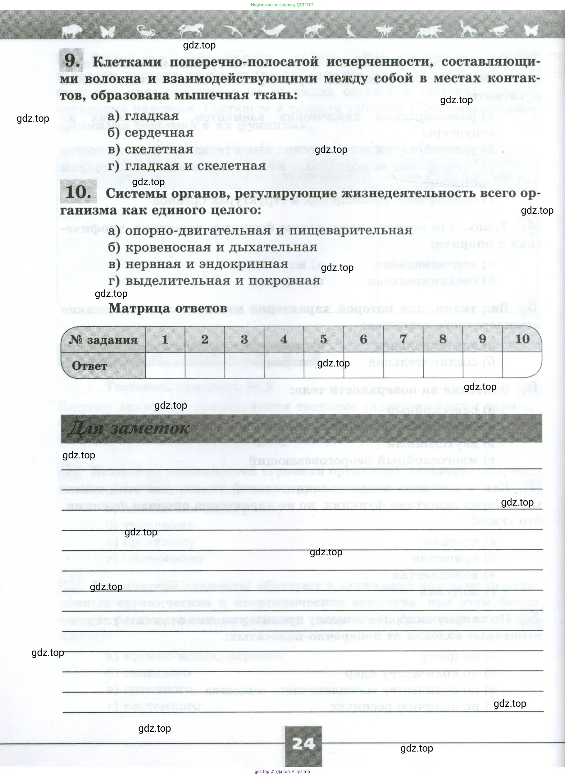 Биология, 9 класс рабочая тетрадь, авторы: Пасечник Владимир Васильевич, Швецов Глеб Геннадьевич, издательство Просвещение, Москва, 2023, розового цвета, страница 24