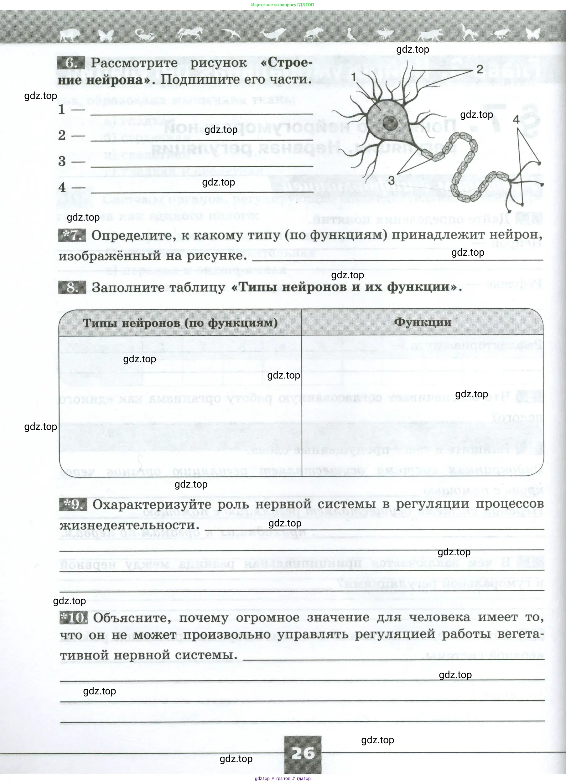 Биология, 9 класс рабочая тетрадь, авторы: Пасечник Владимир Васильевич, Швецов Глеб Геннадьевич, издательство Просвещение, Москва, 2023, розового цвета, страница 26