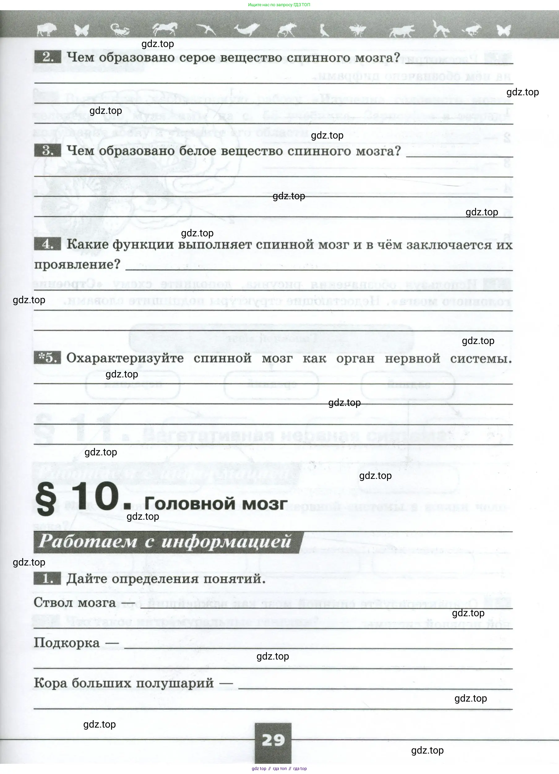 Биология, 9 класс рабочая тетрадь, авторы: Пасечник Владимир Васильевич, Швецов Глеб Геннадьевич, издательство Просвещение, Москва, 2023, розового цвета, страница 29