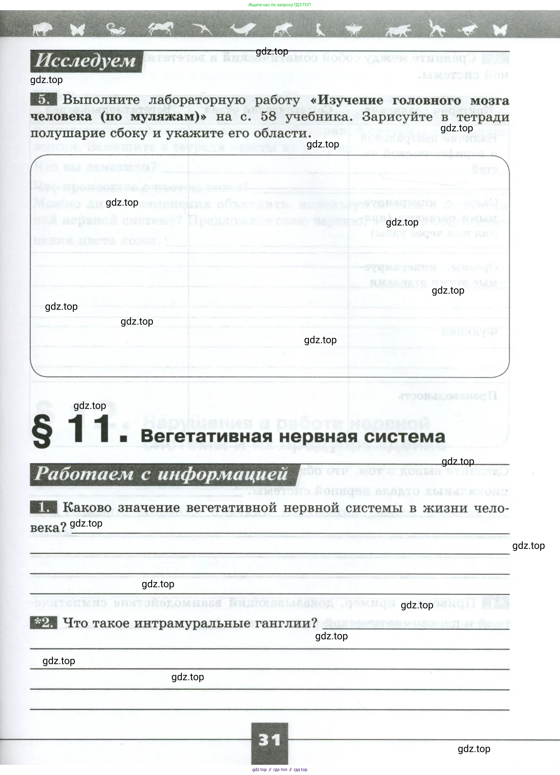 Биология, 9 класс рабочая тетрадь, авторы: Пасечник Владимир Васильевич, Швецов Глеб Геннадьевич, издательство Просвещение, Москва, 2023, розового цвета, страница 31