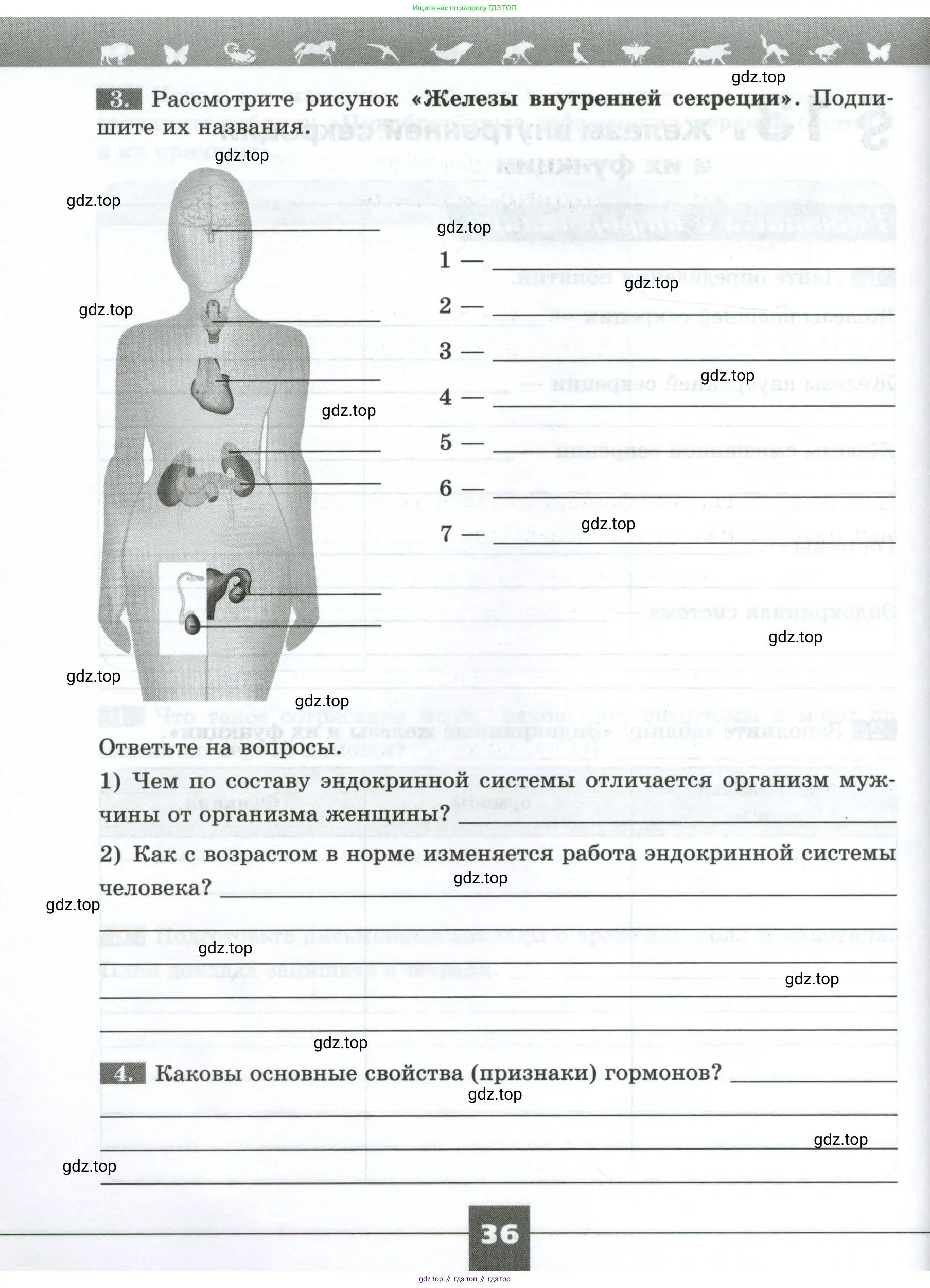 Биология, 9 класс рабочая тетрадь, авторы: Пасечник Владимир Васильевич, Швецов Глеб Геннадьевич, издательство Просвещение, Москва, 2023, розового цвета, страница 36