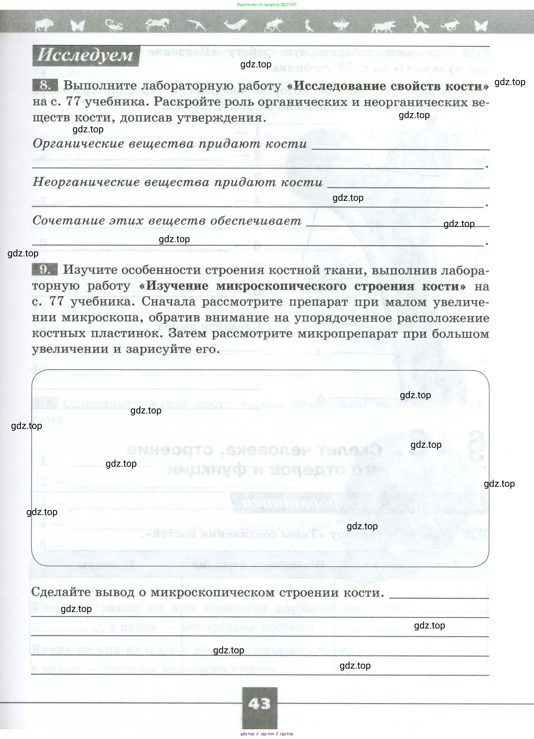 Биология, 9 класс рабочая тетрадь, авторы: Пасечник Владимир Васильевич, Швецов Глеб Геннадьевич, издательство Просвещение, Москва, 2023, розового цвета, страница 43