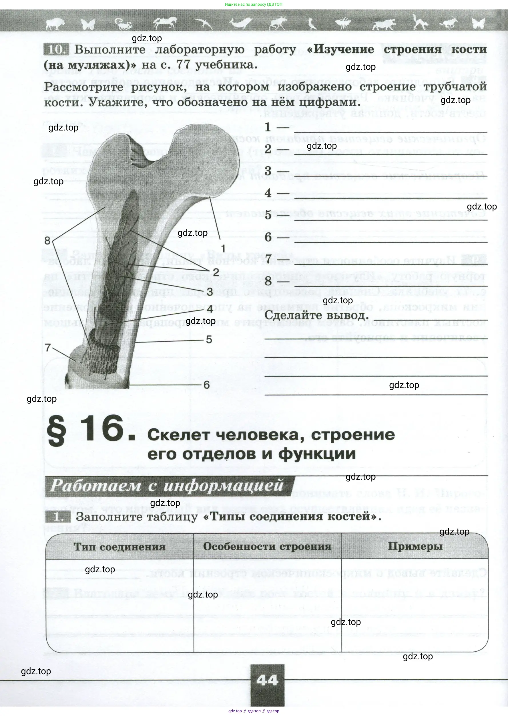 Биология, 9 класс рабочая тетрадь, авторы: Пасечник Владимир Васильевич, Швецов Глеб Геннадьевич, издательство Просвещение, Москва, 2023, розового цвета, страница 44