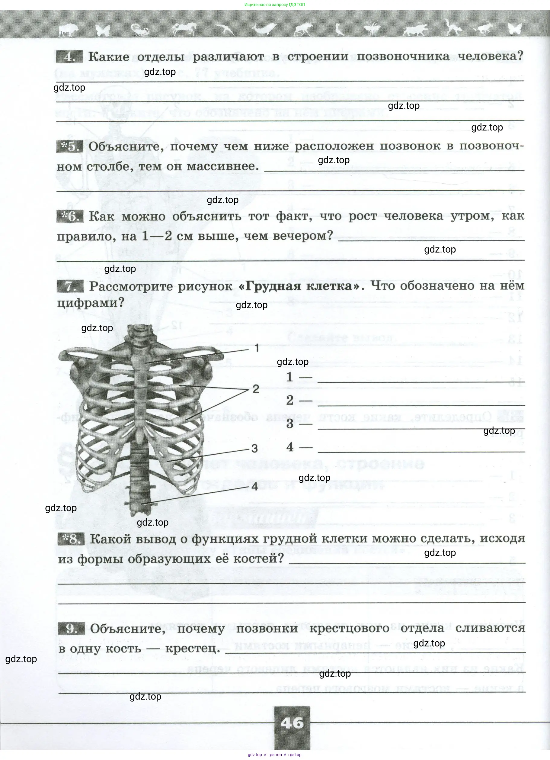 Биология, 9 класс рабочая тетрадь, авторы: Пасечник Владимир Васильевич, Швецов Глеб Геннадьевич, издательство Просвещение, Москва, 2023, розового цвета, страница 46