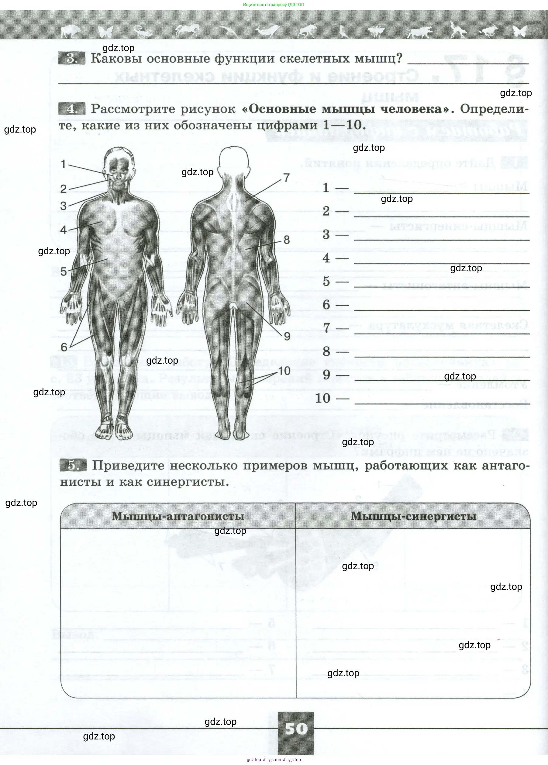 Биология, 9 класс рабочая тетрадь, авторы: Пасечник Владимир Васильевич, Швецов Глеб Геннадьевич, издательство Просвещение, Москва, 2023, розового цвета, страница 50