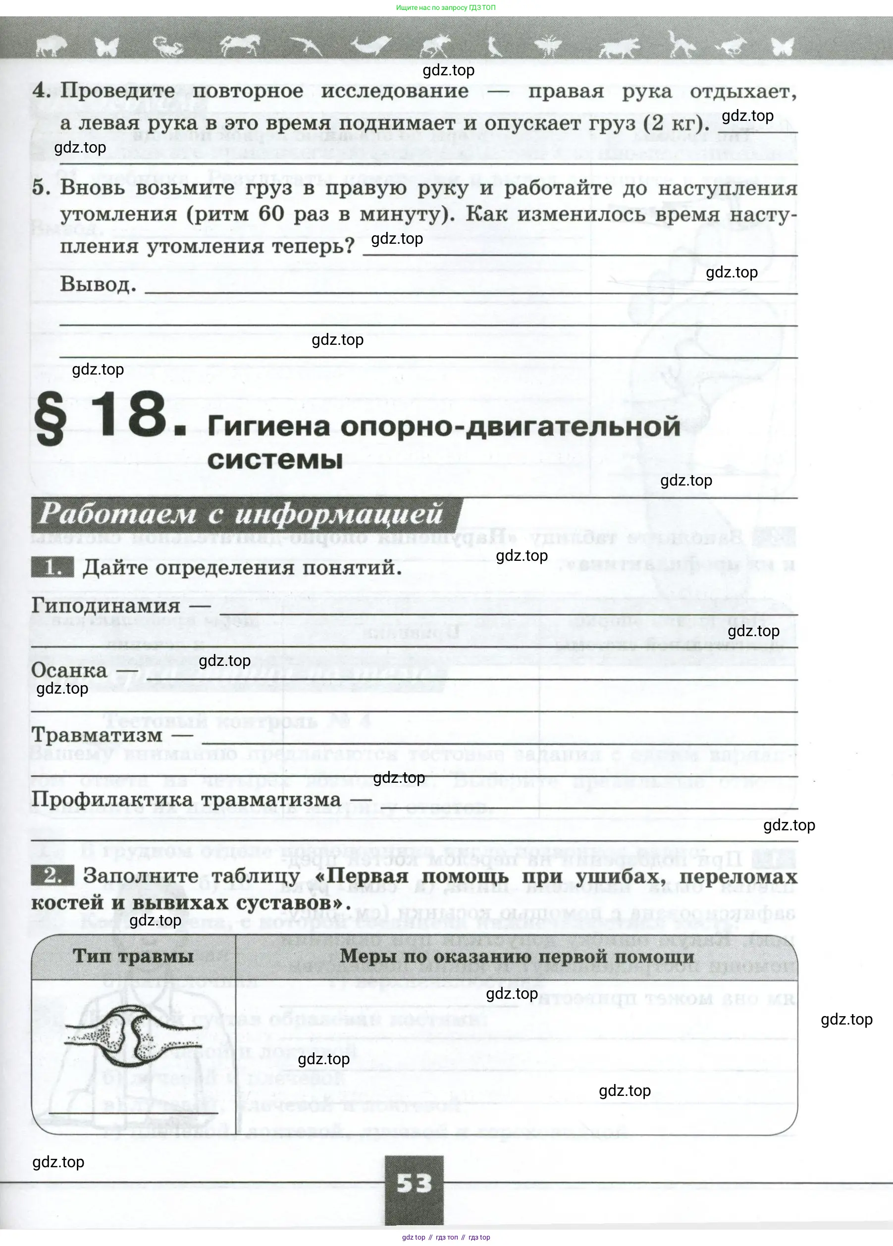 Биология, 9 класс рабочая тетрадь, авторы: Пасечник Владимир Васильевич, Швецов Глеб Геннадьевич, издательство Просвещение, Москва, 2023, розового цвета, страница 53
