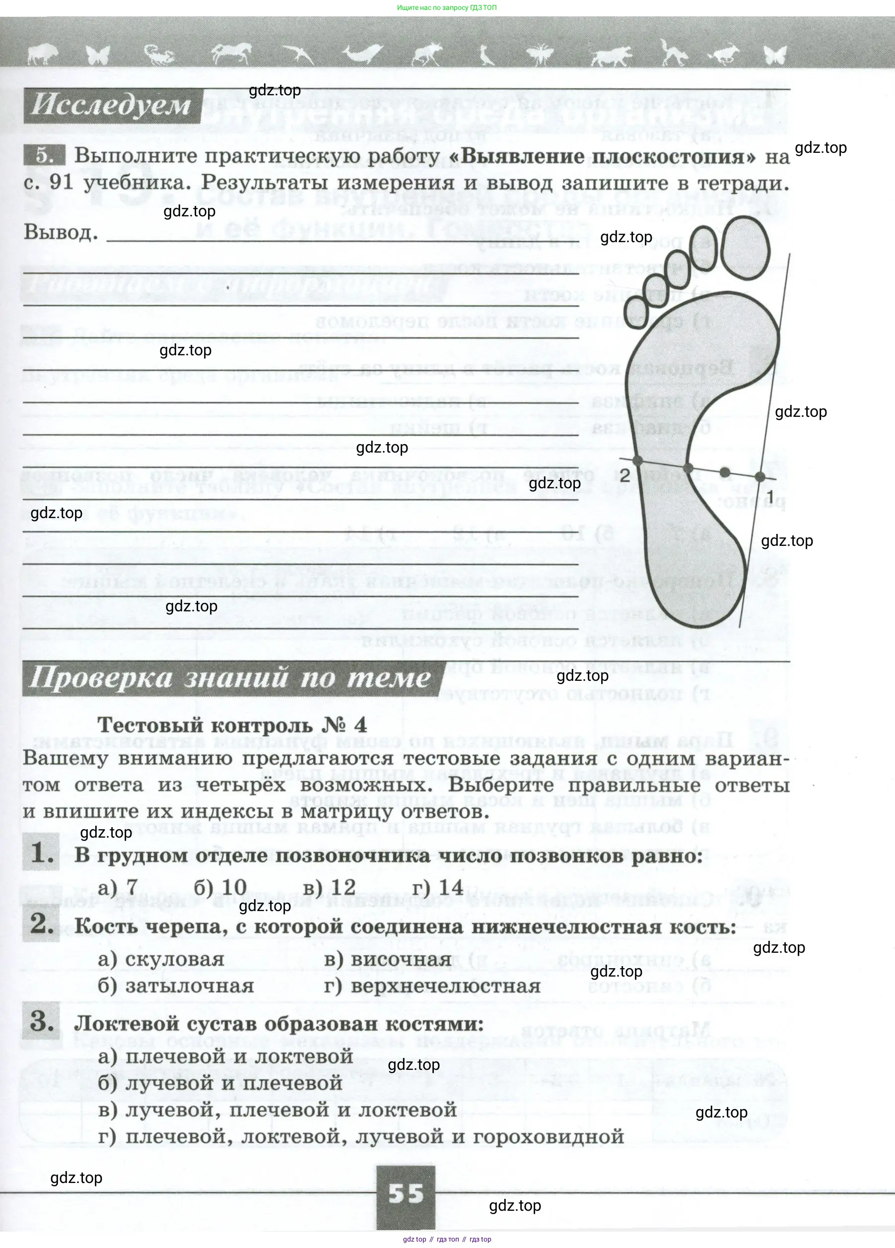 Биология, 9 класс рабочая тетрадь, авторы: Пасечник Владимир Васильевич, Швецов Глеб Геннадьевич, издательство Просвещение, Москва, 2023, розового цвета, страница 55
