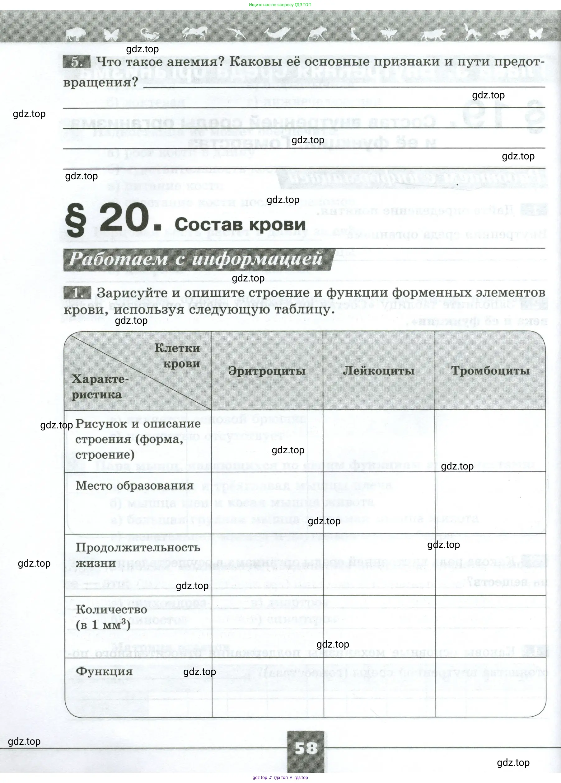 Биология, 9 класс рабочая тетрадь, авторы: Пасечник Владимир Васильевич, Швецов Глеб Геннадьевич, издательство Просвещение, Москва, 2023, розового цвета, страница 58