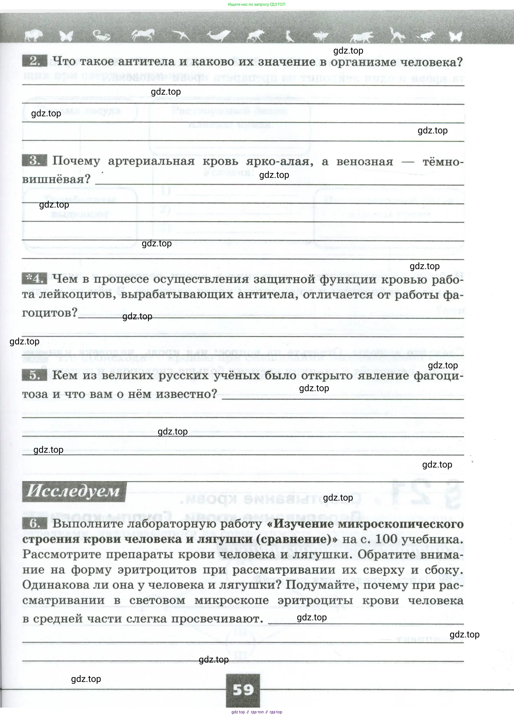 Биология, 9 класс рабочая тетрадь, авторы: Пасечник Владимир Васильевич, Швецов Глеб Геннадьевич, издательство Просвещение, Москва, 2023, розового цвета, страница 59