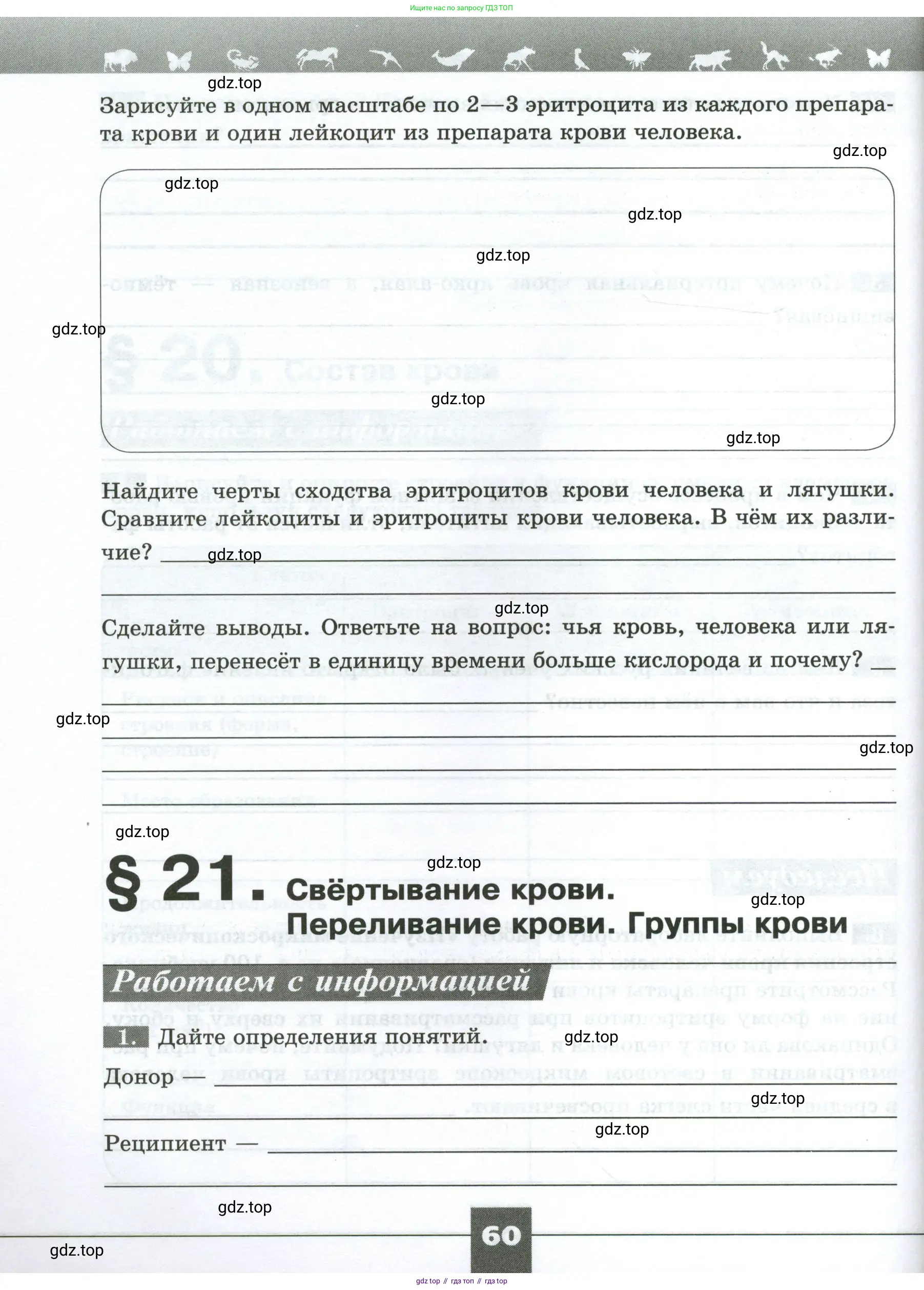 Биология, 9 класс рабочая тетрадь, авторы: Пасечник Владимир Васильевич, Швецов Глеб Геннадьевич, издательство Просвещение, Москва, 2023, розового цвета, страница 60