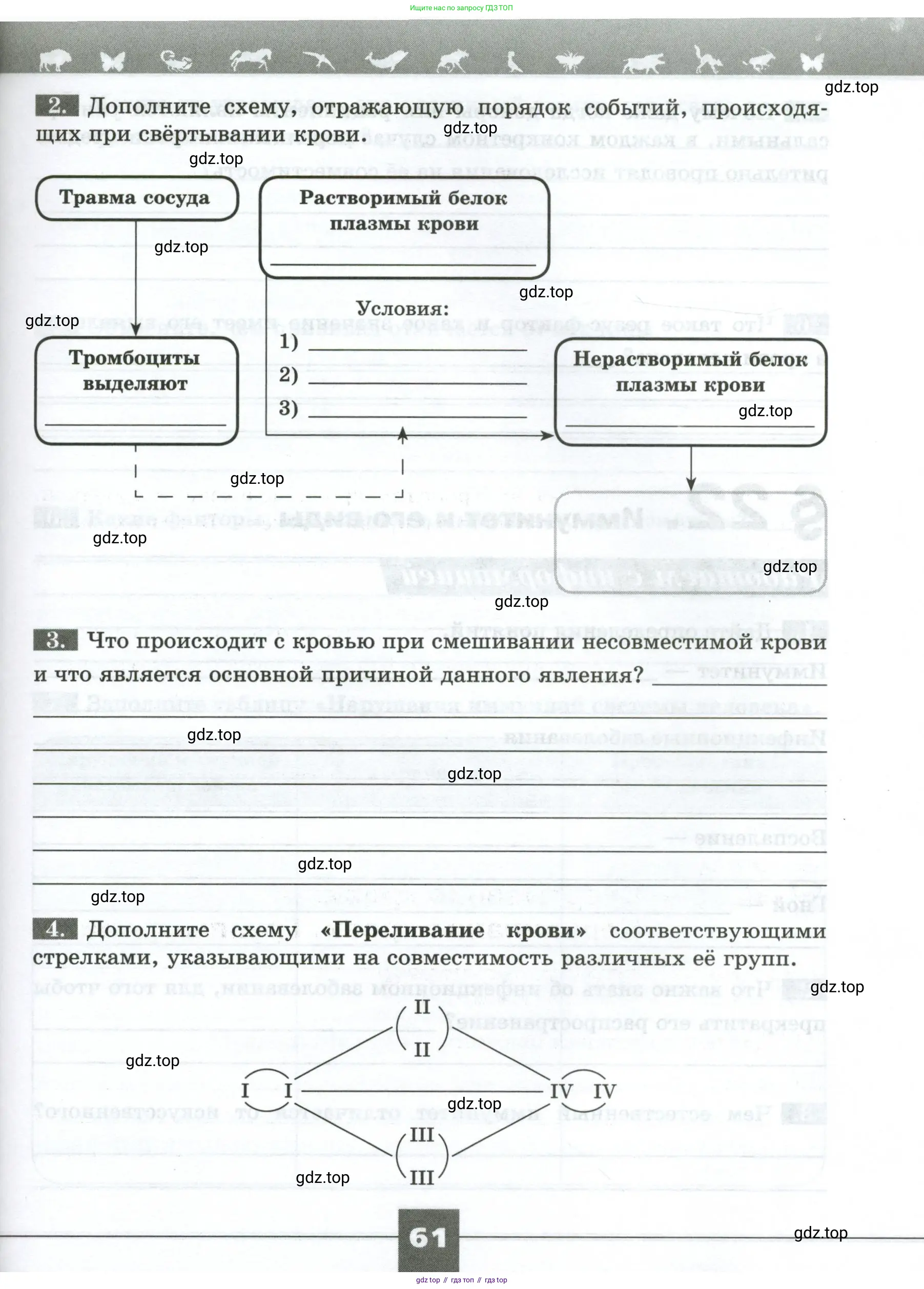 Биология, 9 класс рабочая тетрадь, авторы: Пасечник Владимир Васильевич, Швецов Глеб Геннадьевич, издательство Просвещение, Москва, 2023, розового цвета, страница 61