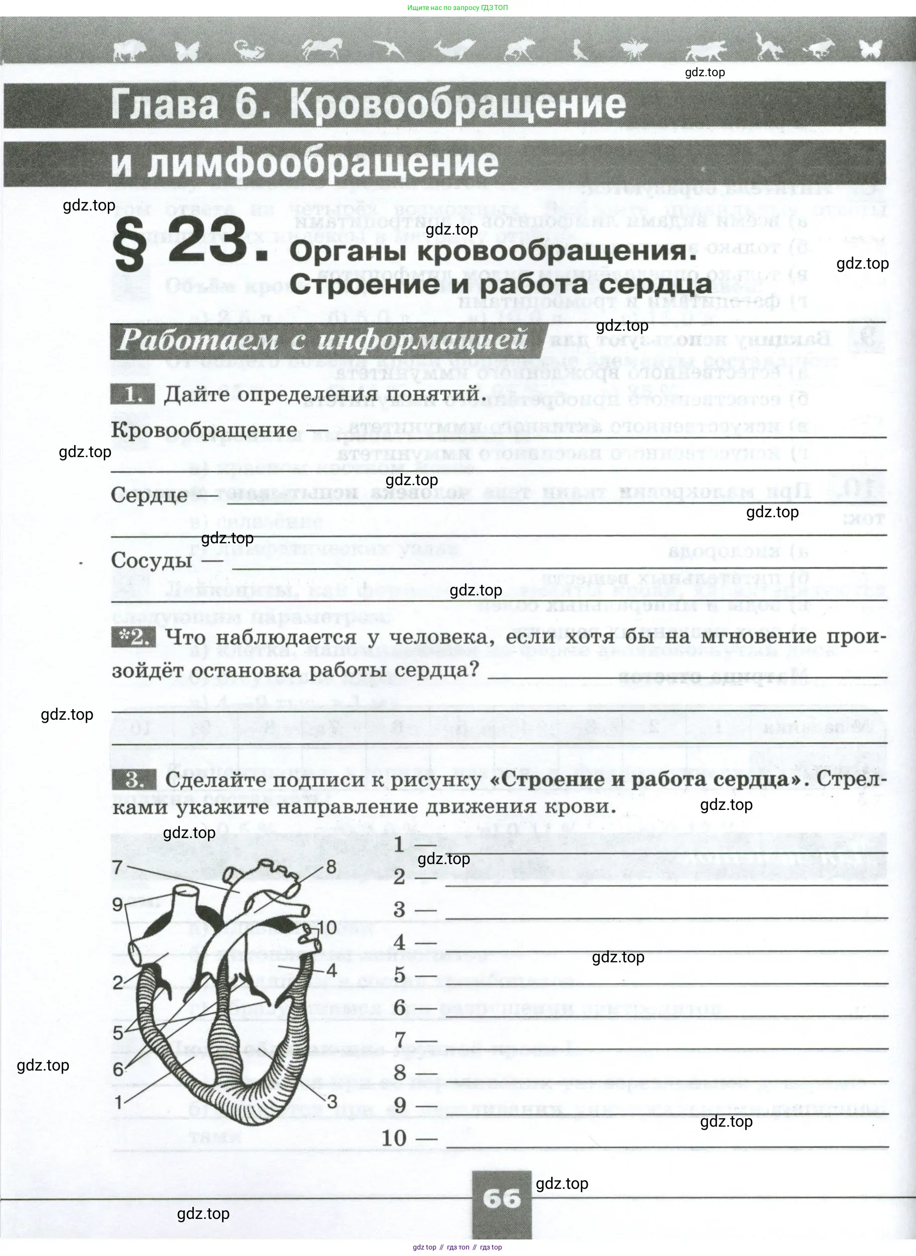 Биология, 9 класс рабочая тетрадь, авторы: Пасечник Владимир Васильевич, Швецов Глеб Геннадьевич, издательство Просвещение, Москва, 2023, розового цвета, страница 66