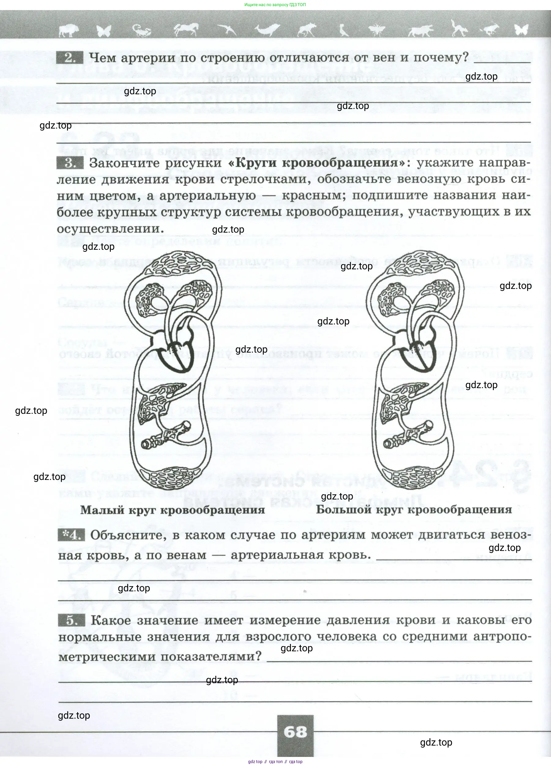 Биология, 9 класс рабочая тетрадь, авторы: Пасечник Владимир Васильевич, Швецов Глеб Геннадьевич, издательство Просвещение, Москва, 2023, розового цвета, страница 68