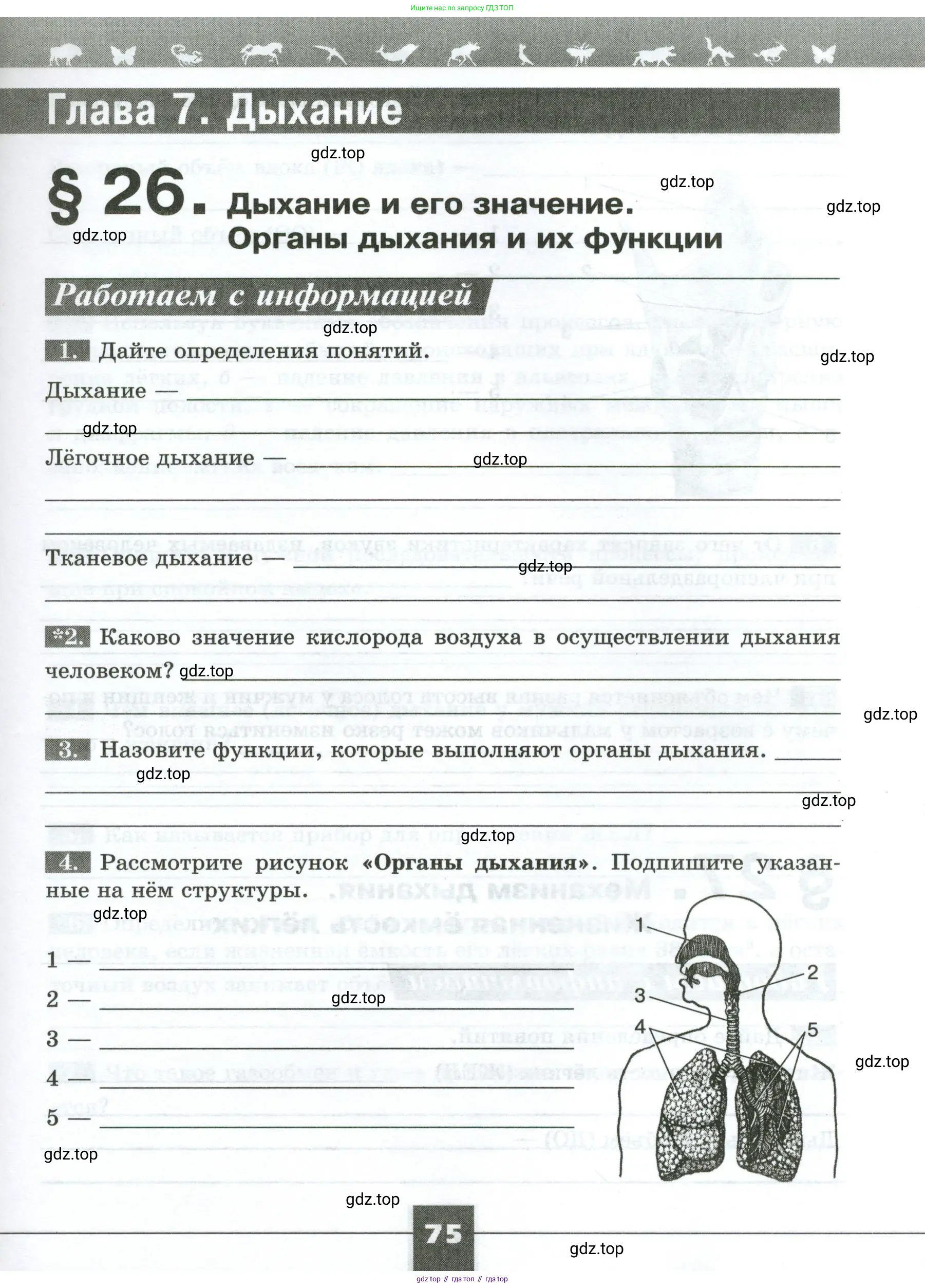 Биология, 9 класс рабочая тетрадь, авторы: Пасечник Владимир Васильевич, Швецов Глеб Геннадьевич, издательство Просвещение, Москва, 2023, розового цвета, страница 75