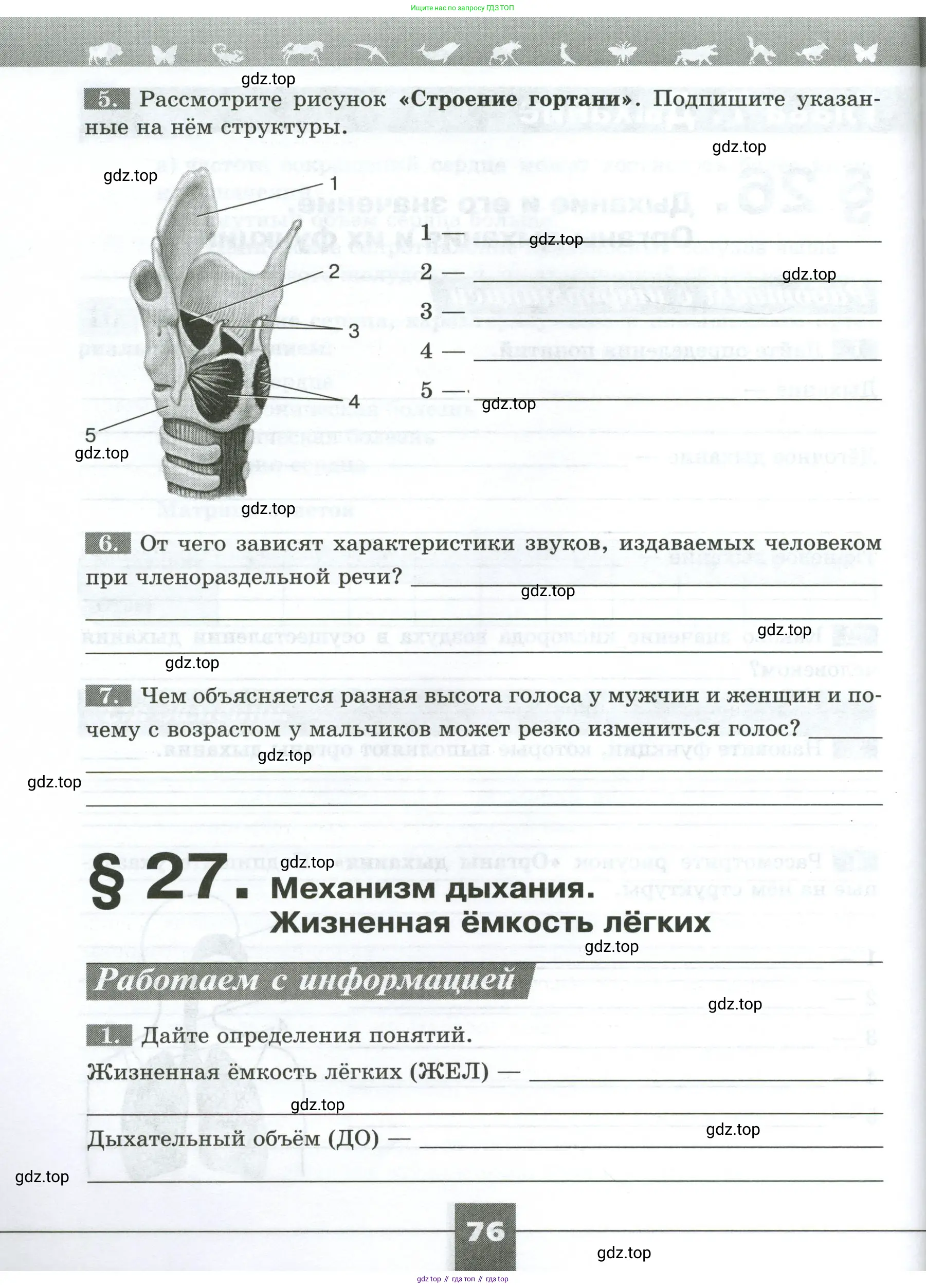Биология, 9 класс рабочая тетрадь, авторы: Пасечник Владимир Васильевич, Швецов Глеб Геннадьевич, издательство Просвещение, Москва, 2023, розового цвета, страница 76