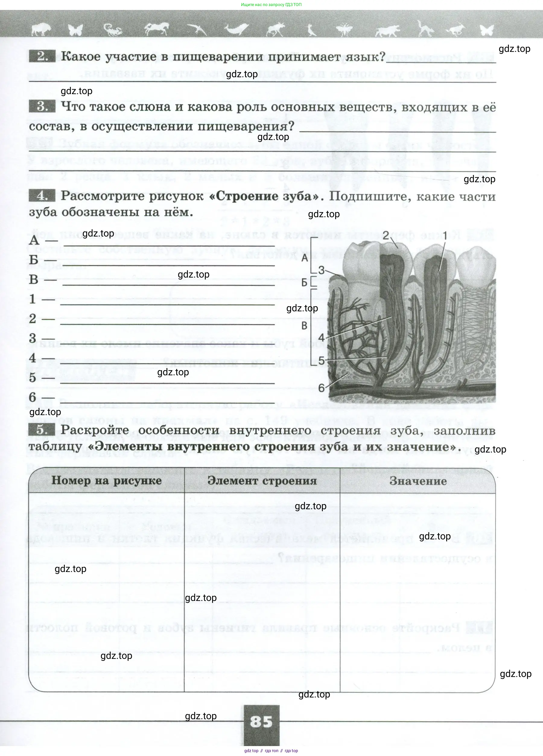 Биология, 9 класс рабочая тетрадь, авторы: Пасечник Владимир Васильевич, Швецов Глеб Геннадьевич, издательство Просвещение, Москва, 2023, розового цвета, страница 85