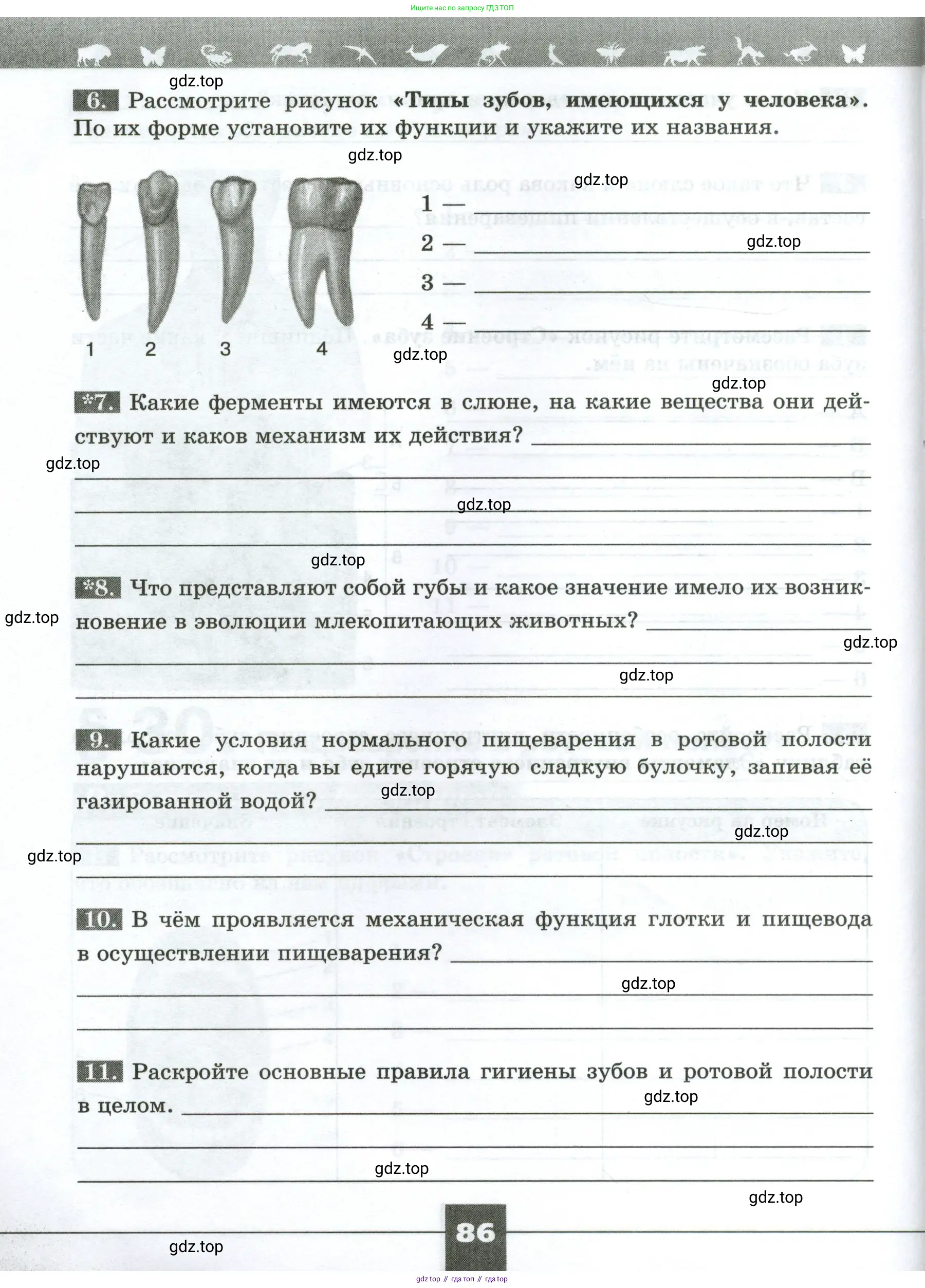Биология, 9 класс рабочая тетрадь, авторы: Пасечник Владимир Васильевич, Швецов Глеб Геннадьевич, издательство Просвещение, Москва, 2023, розового цвета, страница 86