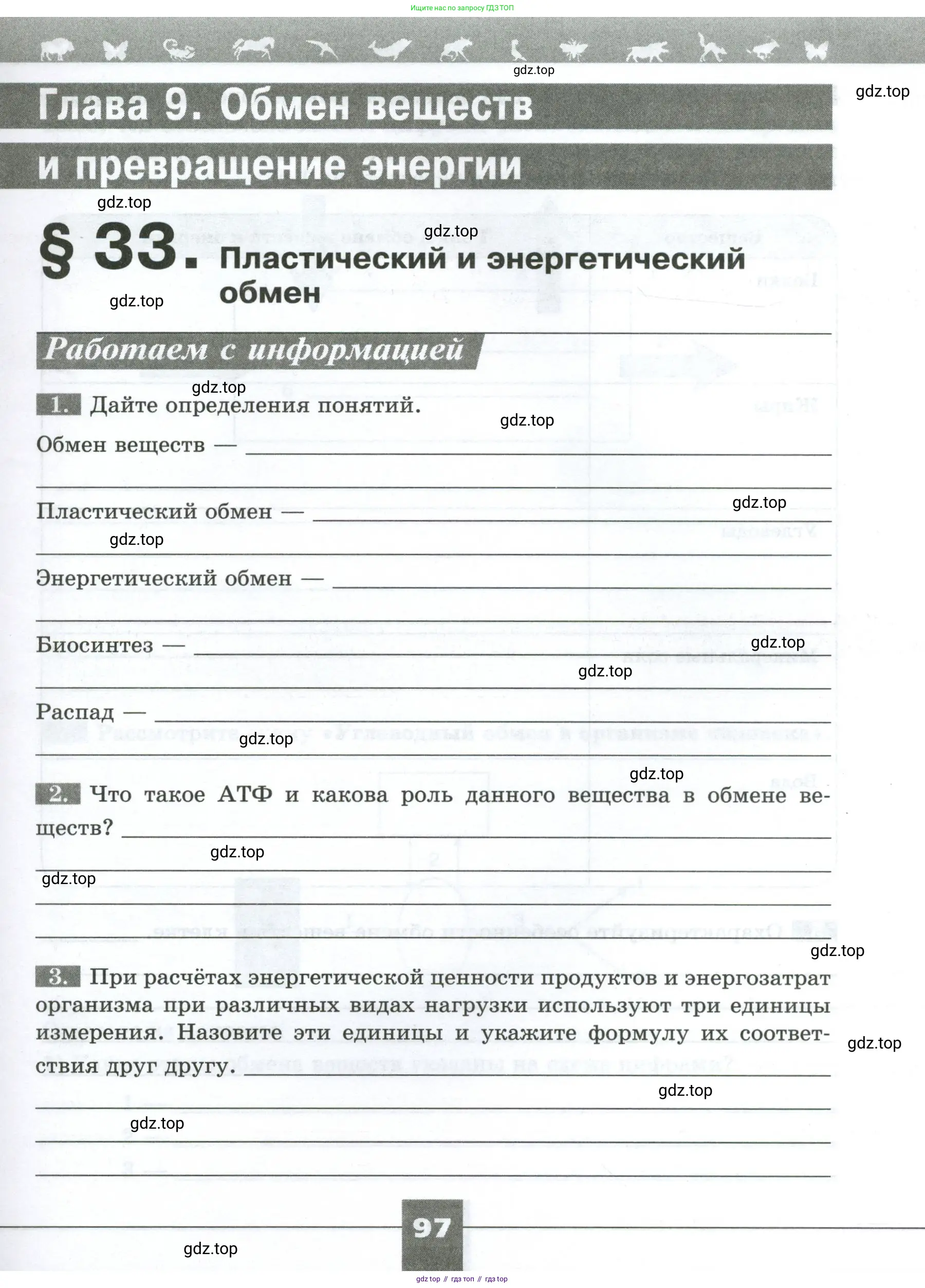 Биология, 9 класс рабочая тетрадь, авторы: Пасечник Владимир Васильевич, Швецов Глеб Геннадьевич, издательство Просвещение, Москва, 2023, розового цвета, страница 97