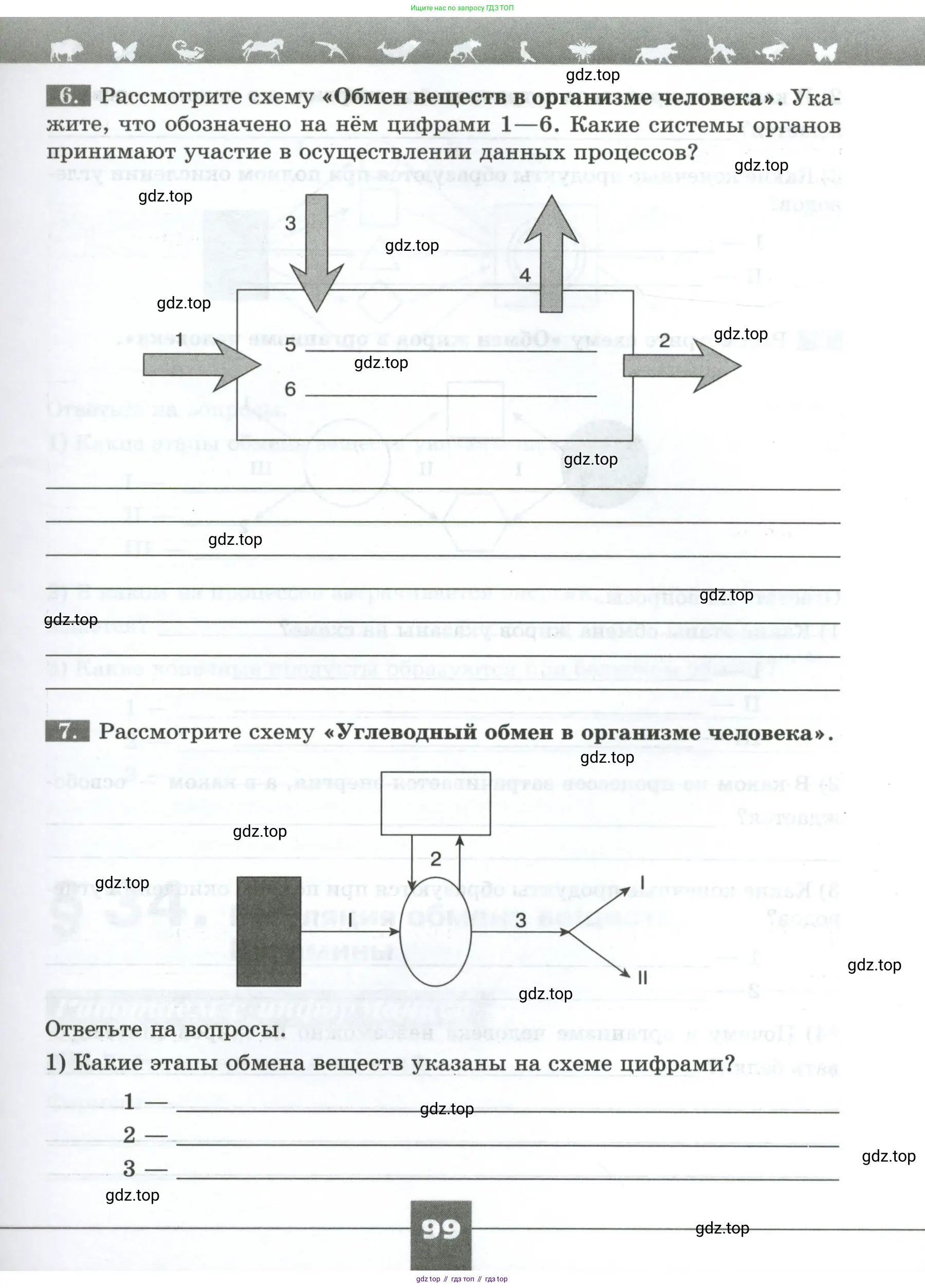 Биология, 9 класс рабочая тетрадь, авторы: Пасечник Владимир Васильевич, Швецов Глеб Геннадьевич, издательство Просвещение, Москва, 2023, розового цвета, страница 99