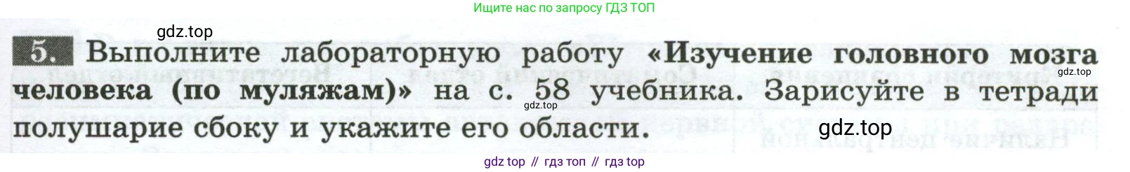 Биология, 9 класс рабочая тетрадь, авторы: Пасечник Владимир Васильевич, Швецов Глеб Геннадьевич, издательство Просвещение, Москва, 2023, розового цвета, страница 31, номер 5, Условие